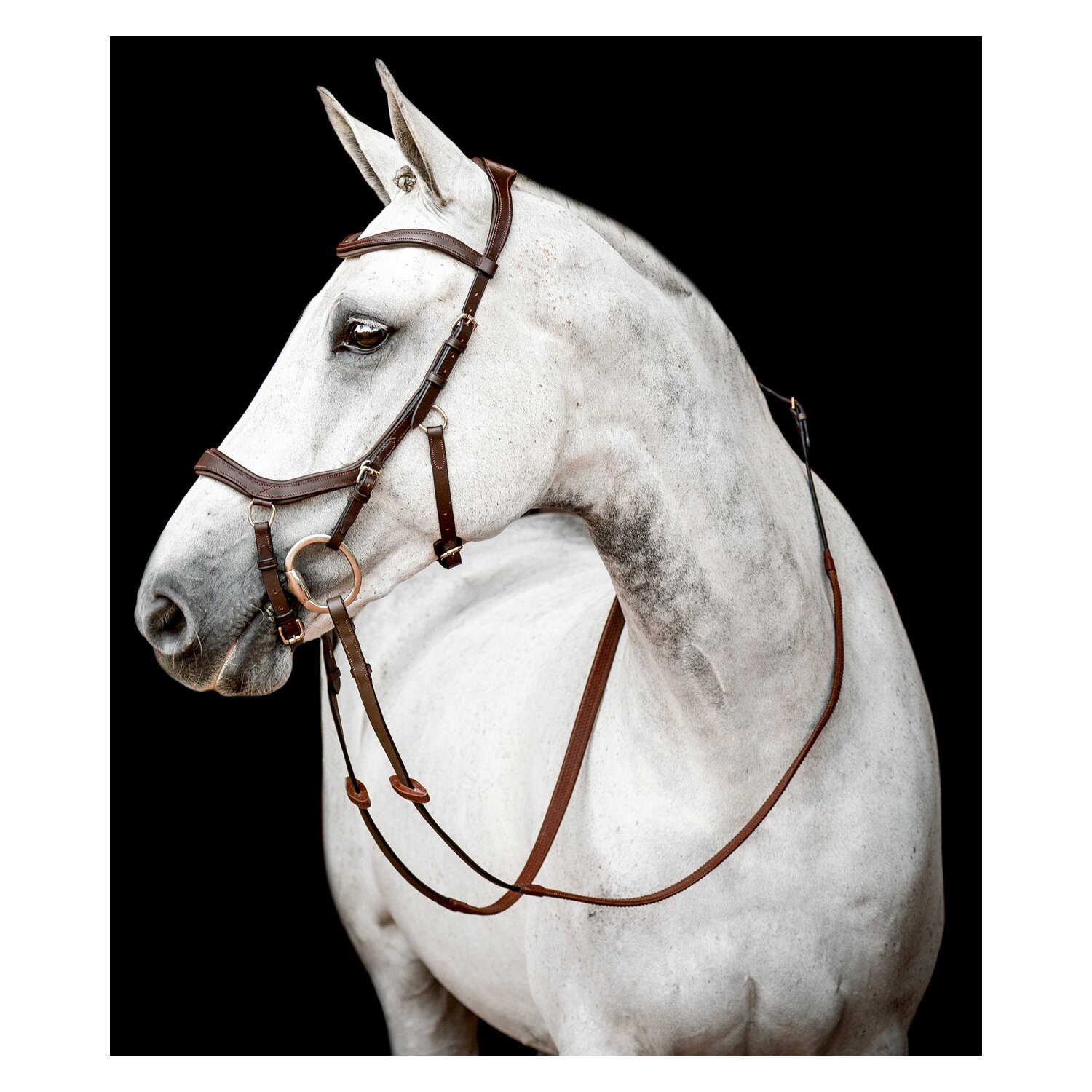 HORSEWARE Micklem 2 Competion Bridle – Ansicht 2