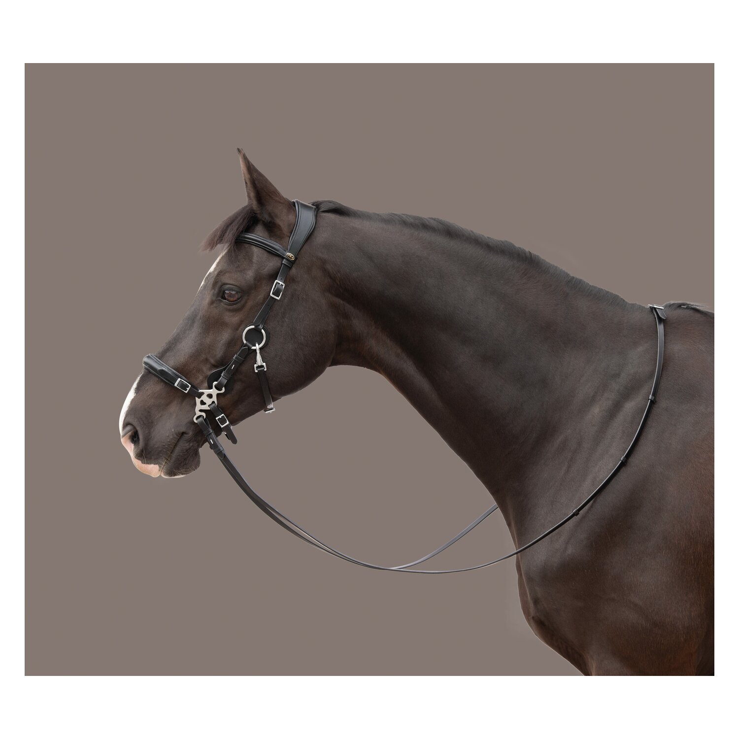 F.R.A. Hackamoretrense Calli Skala 2 – Ansicht 1