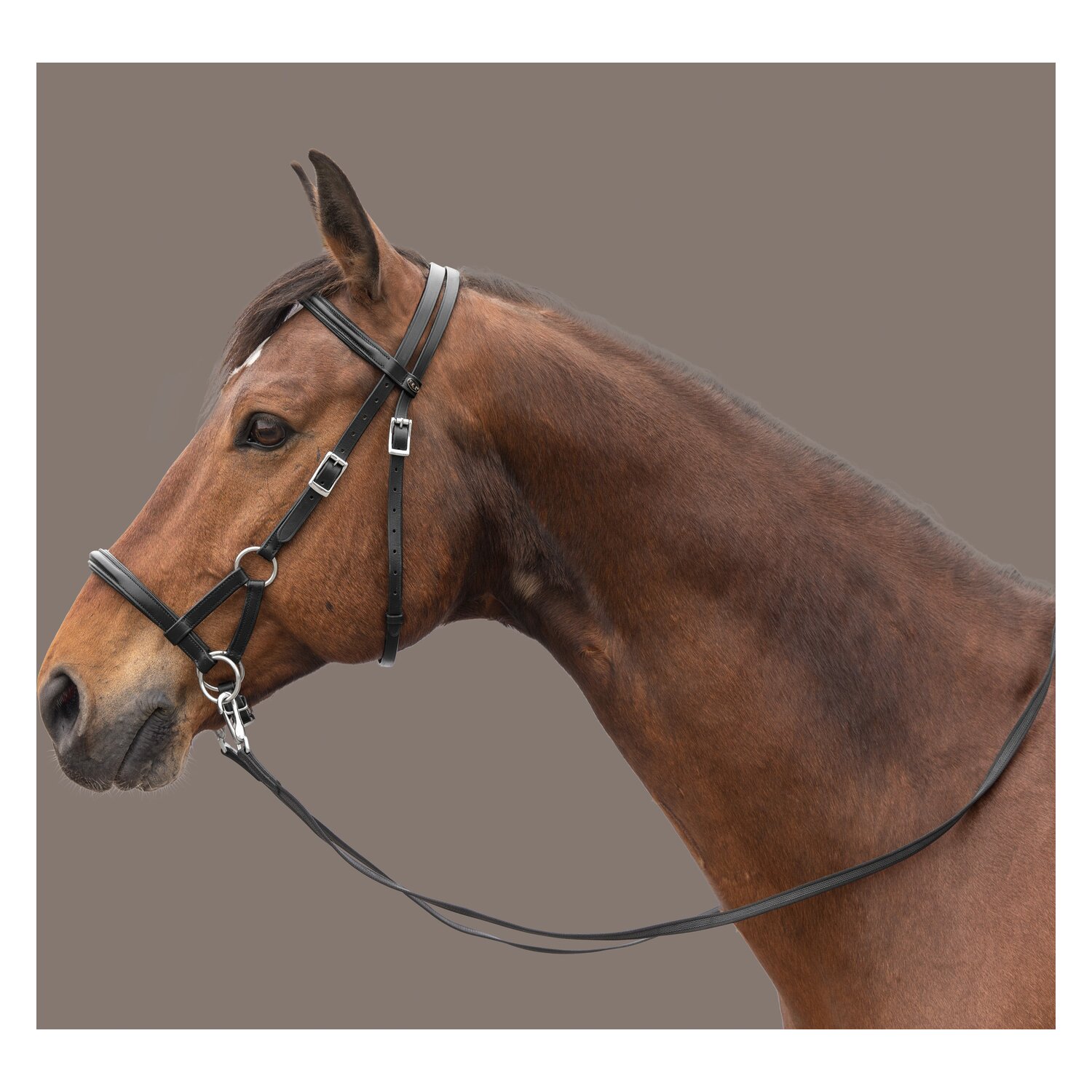 F.R.A. Gebisslose Zäumung Pardoes Skala 3 – Ansicht 1