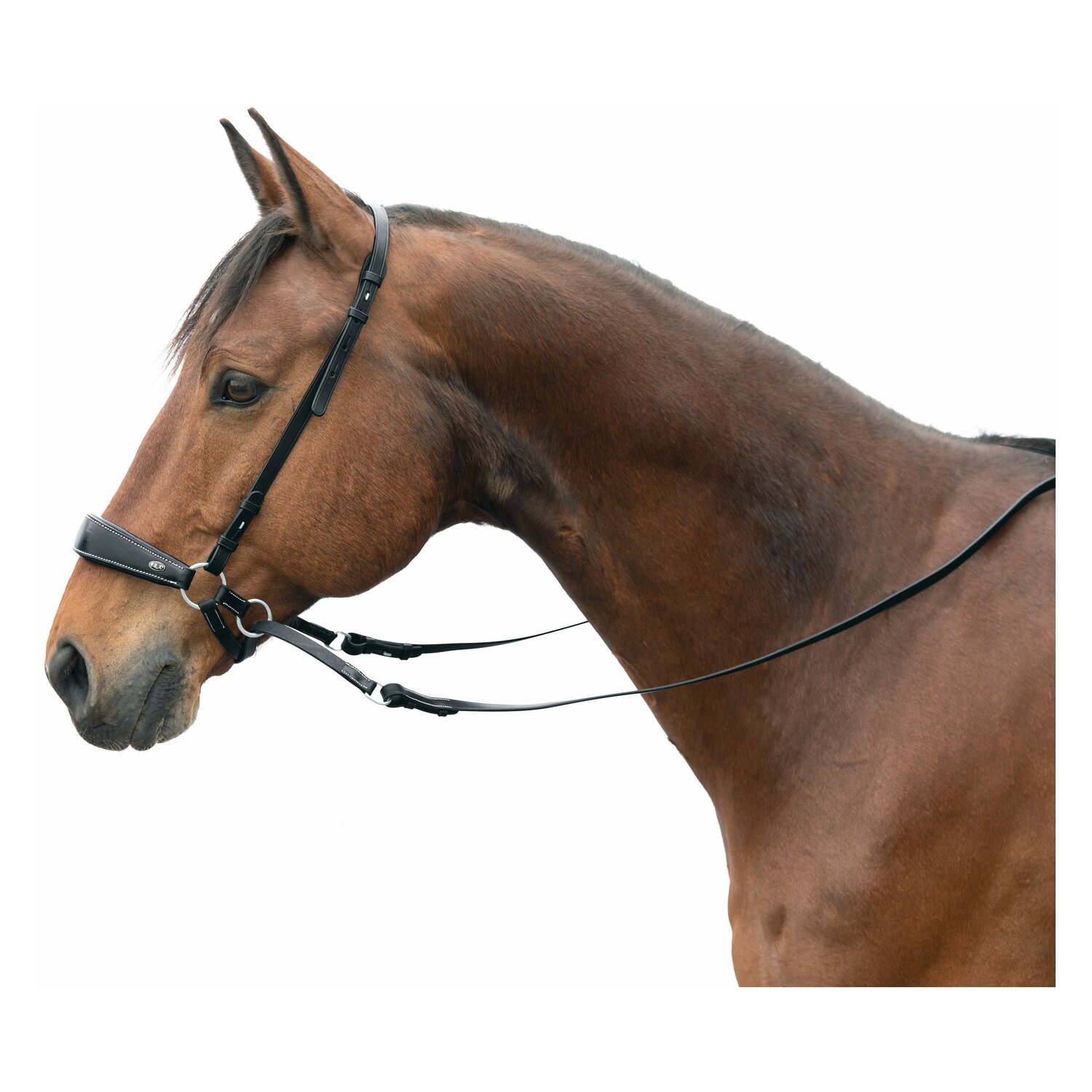 F.R.A. Gebisslose Zäumung Lami Skala 4 – Ansicht 1