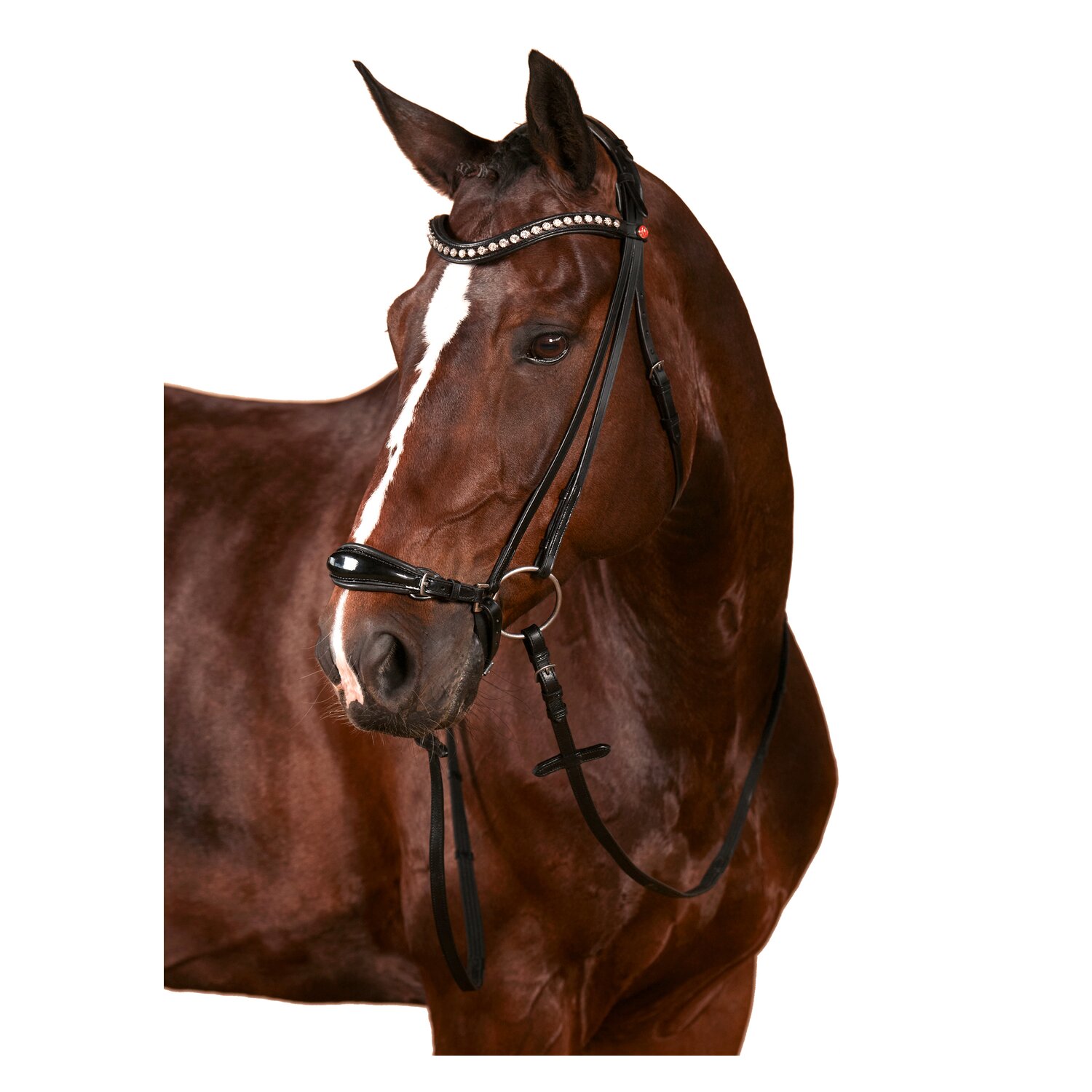 kieffer Trensenzaum Melody – Ansicht 5