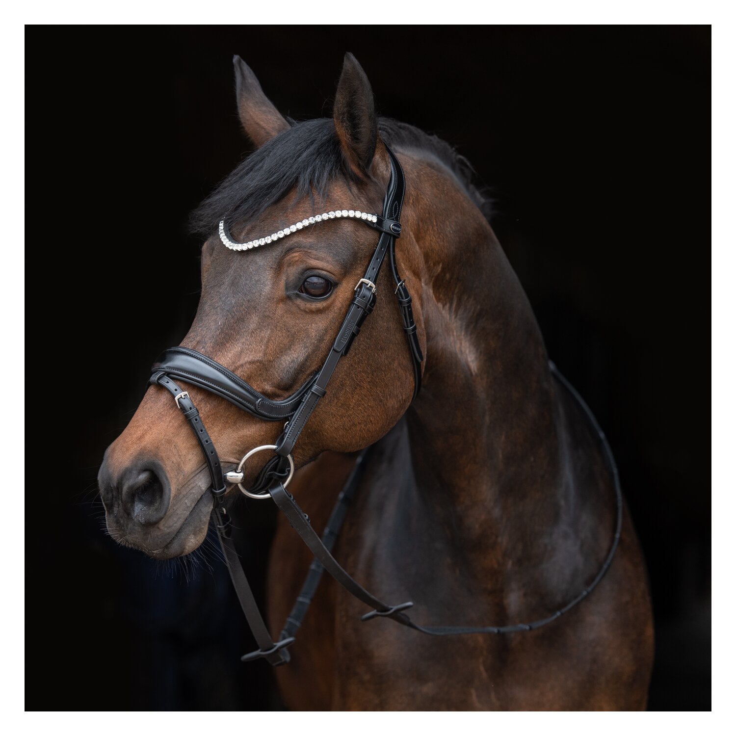 PASSIER Trensenzaum Fantastic – Ansicht 1