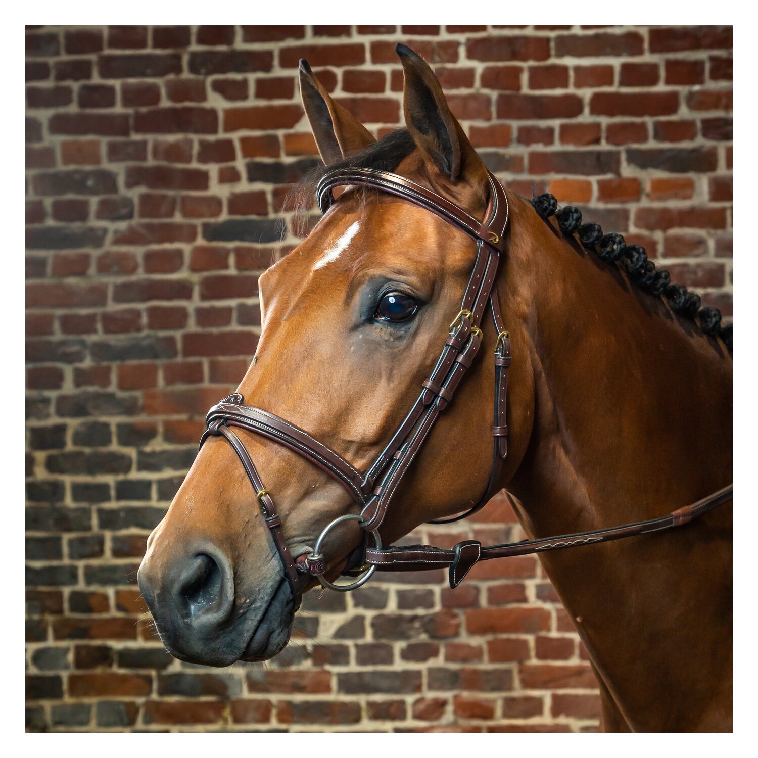 Dy'on Trense mit kombiniertem Reithalfter D COLLECTION – Ansicht 1