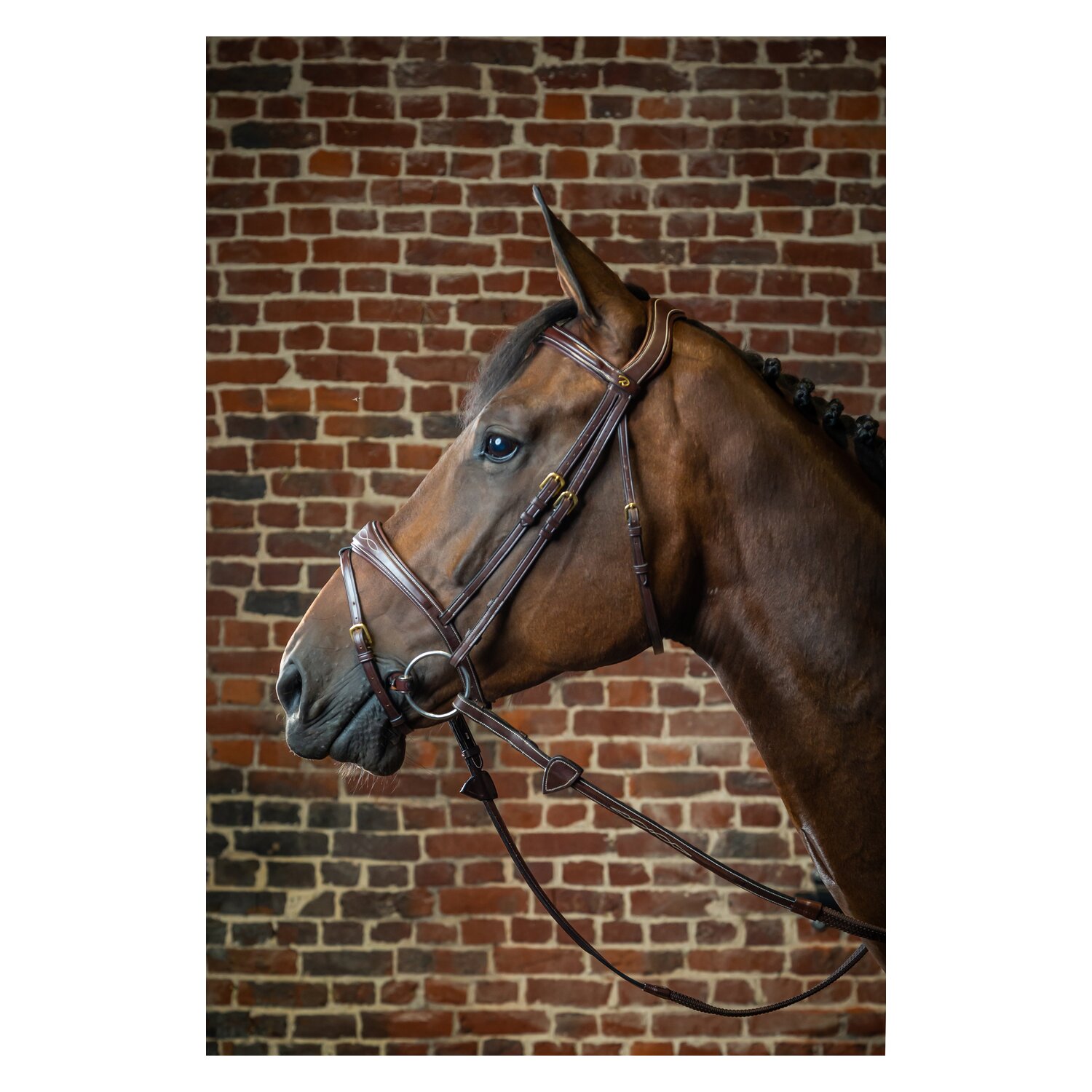 Dy'on Anatomische Trense mit kombiniertem Reithalfter D COLLECTION – Ansicht 2