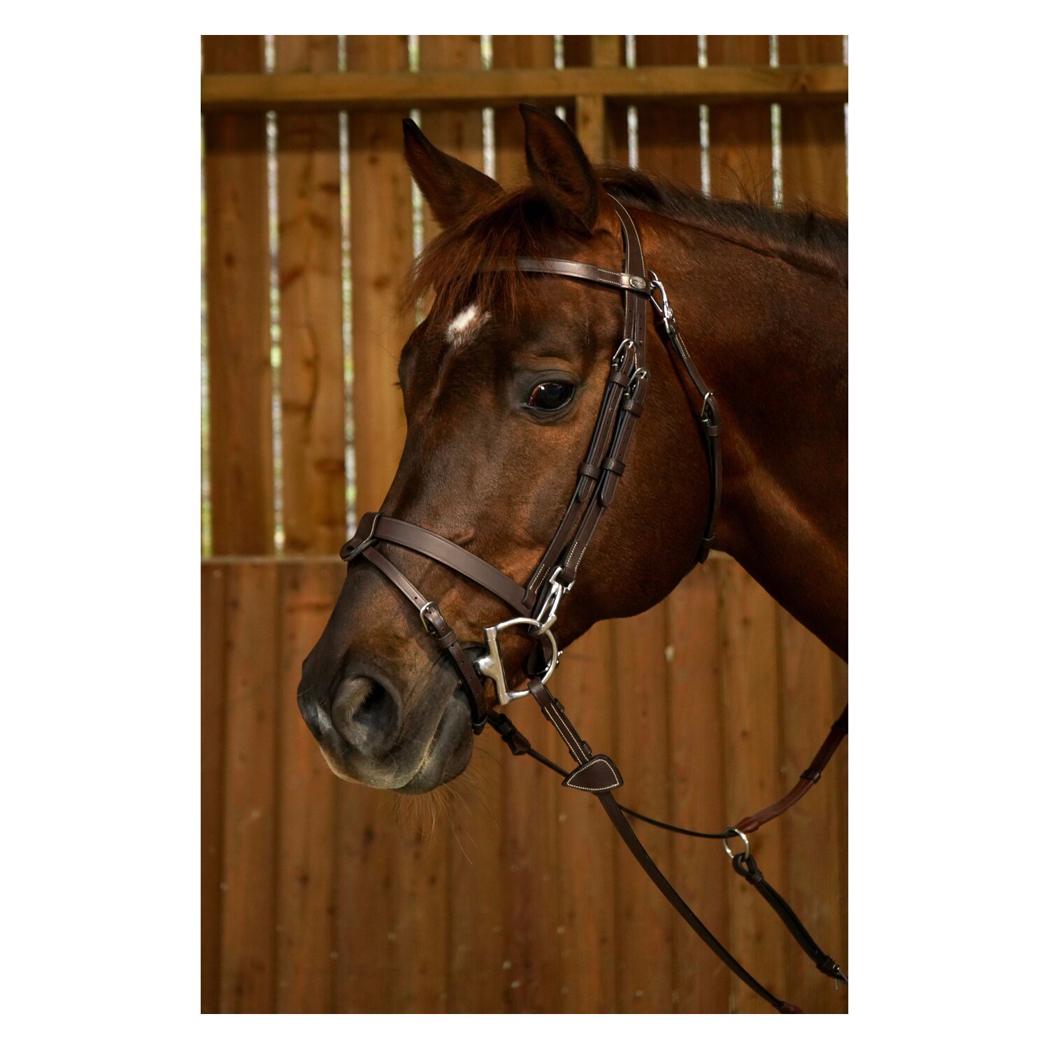 Dy'on Trense aus Flachleder WORKING COLLECTION – Ansicht 2