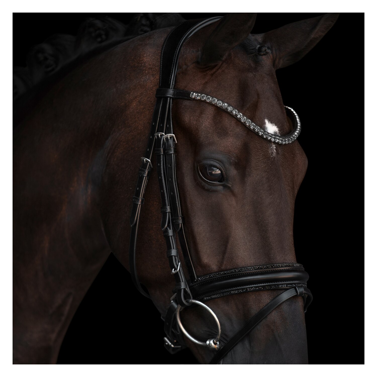 kieffer Trensenzaum Grace – Ansicht 3