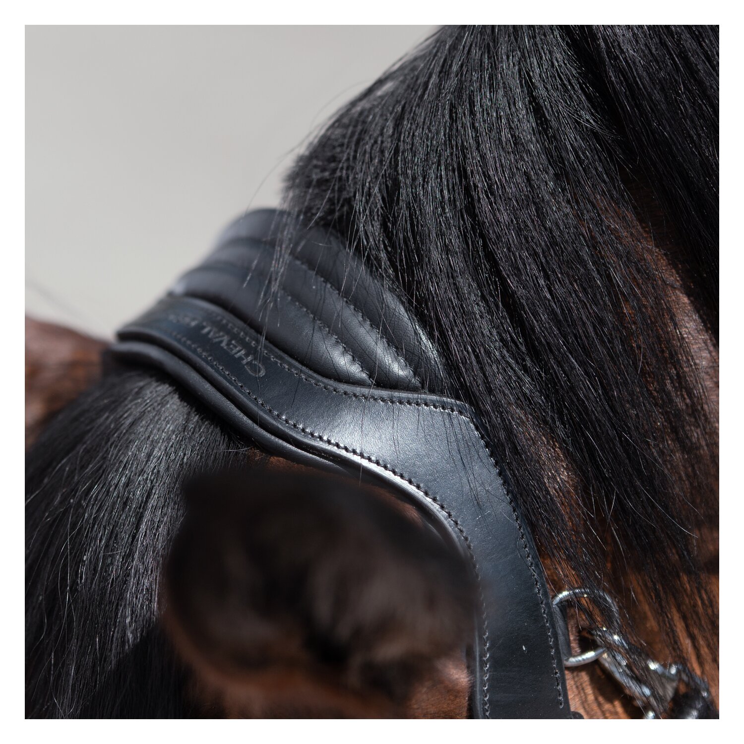 Cheval de Luxe Trensenzaum Catania – Ansicht 3