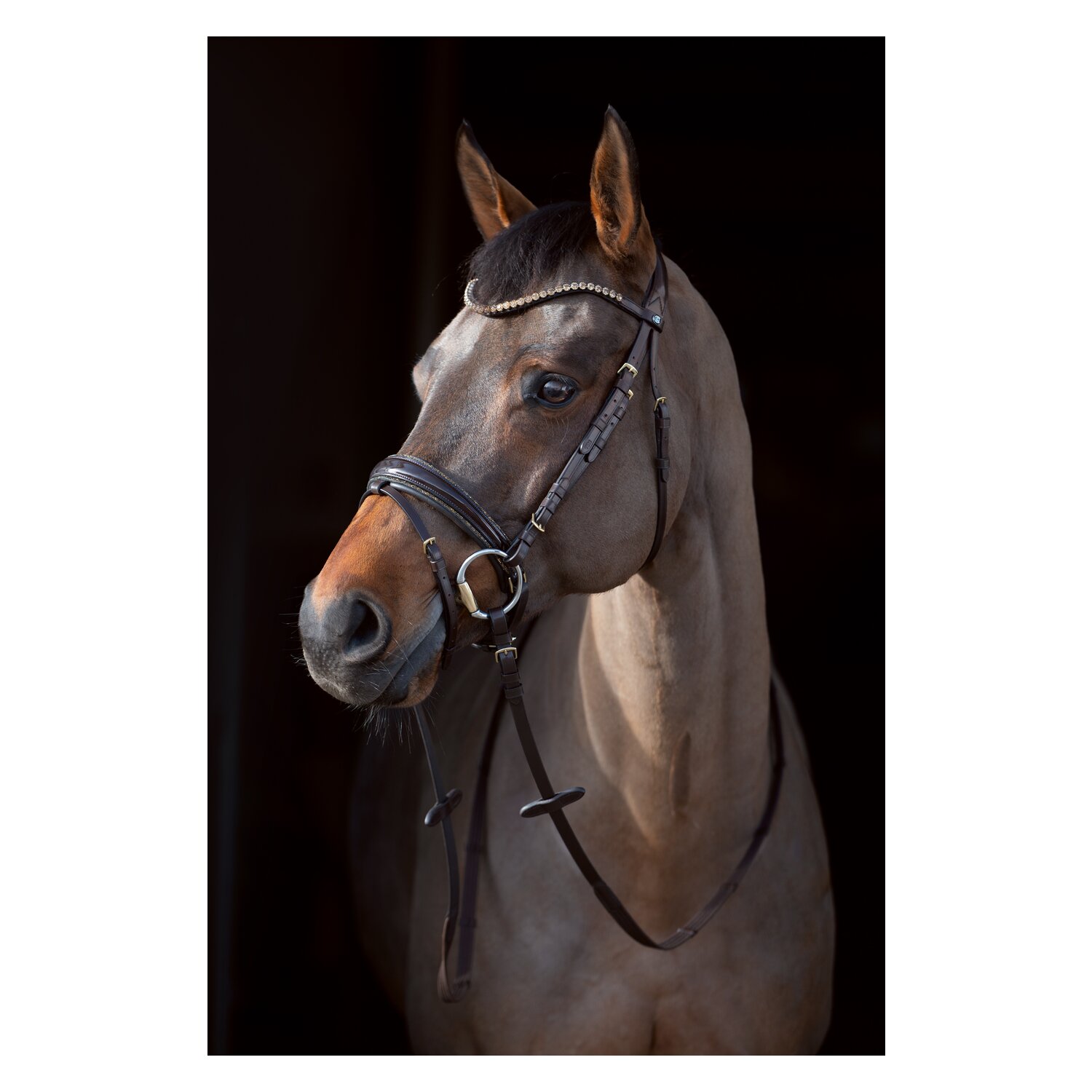 Cheval de Luxe Trensenzaum San Francisco – Ansicht 4