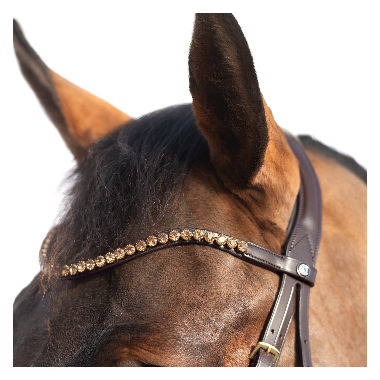 Cheval de Luxe Trensenzaum San Francisco – Ansicht 3