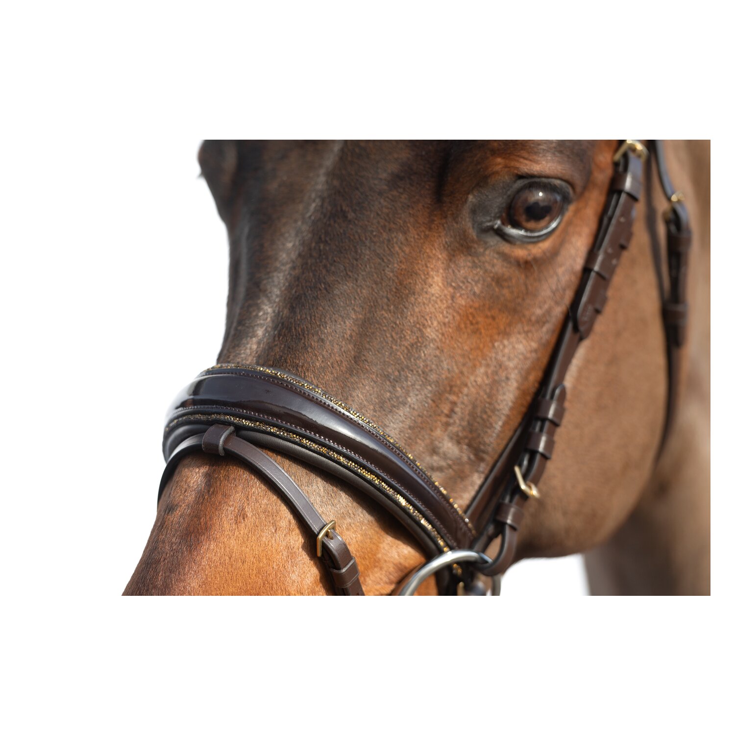 Cheval de Luxe Trensenzaum San Francisco – Ansicht 2