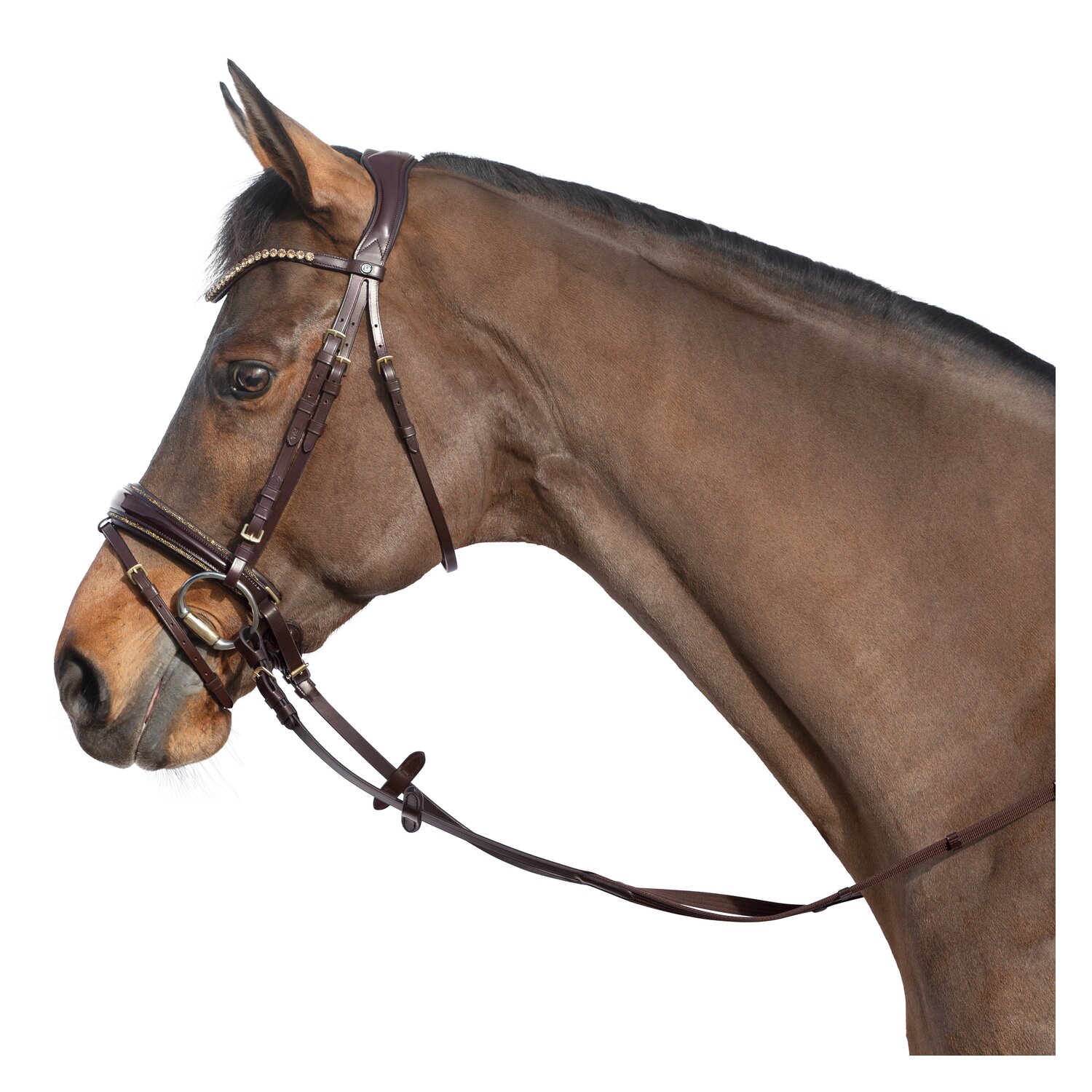 Cheval de Luxe Trensenzaum San Francisco – Ansicht 1