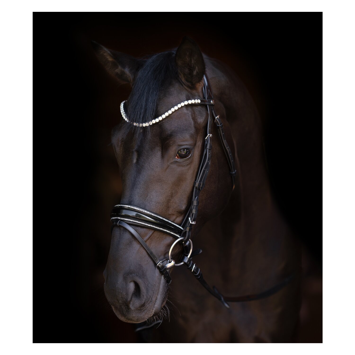 Cheval de Luxe Trensenzaum San Francisco – Ansicht 2