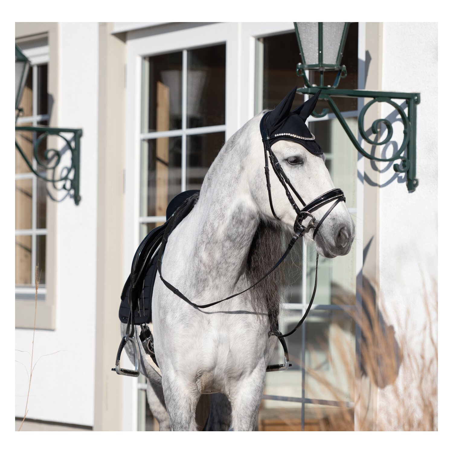 Cheval de Luxe Trensenzaum San Francisco &ndash; Ansicht 11