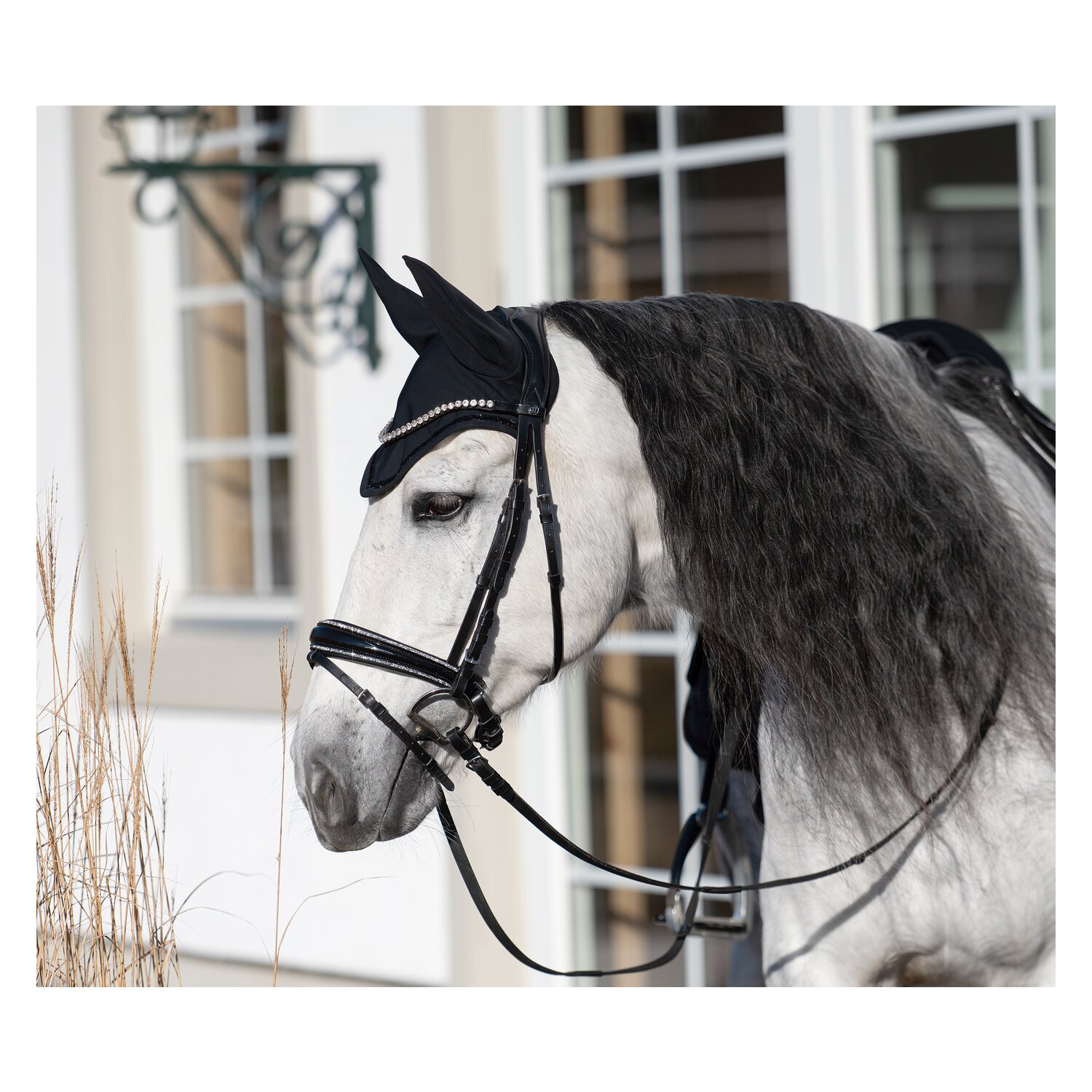 Cheval de Luxe Trensenzaum San Francisco &ndash; Ansicht 12