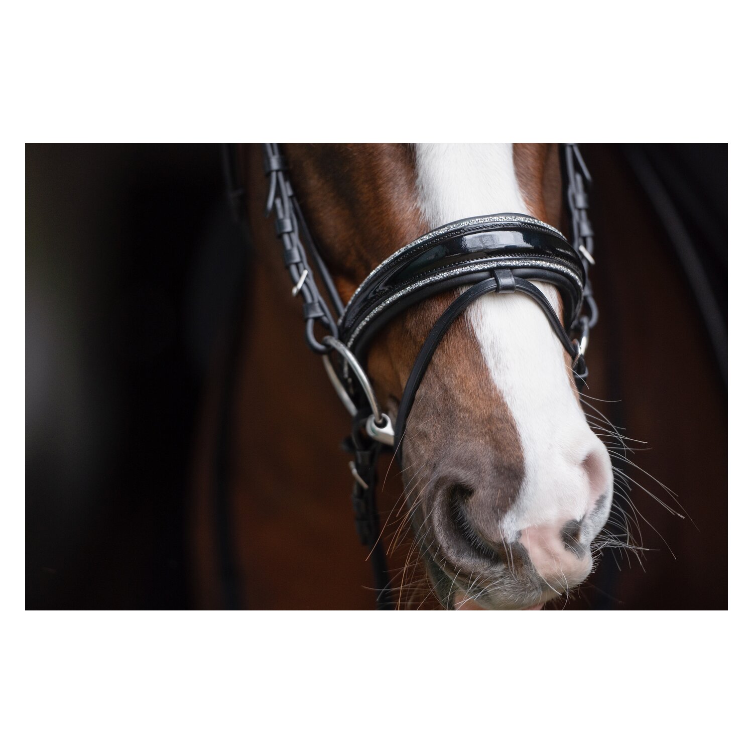 Cheval de Luxe Trensenzaum San Francisco – Ansicht 5