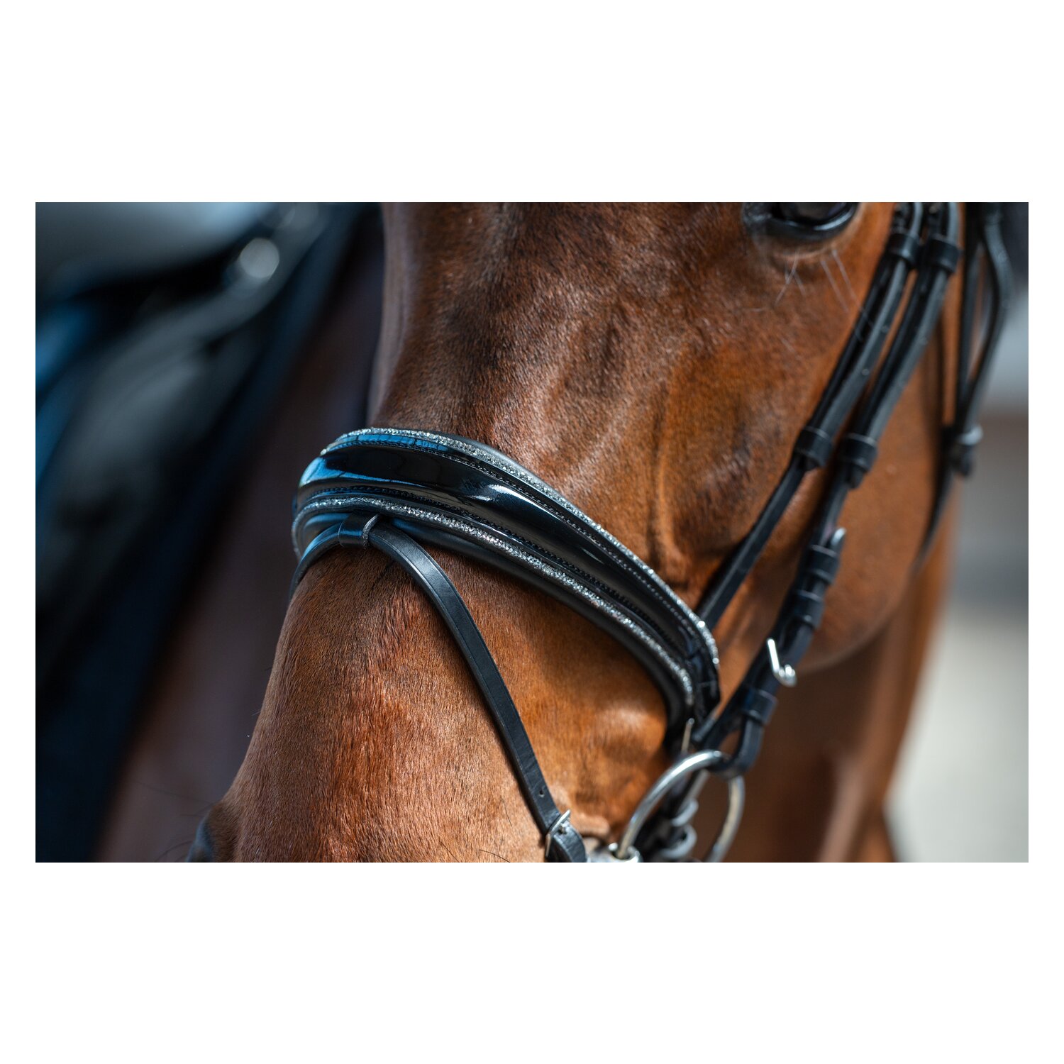 Cheval de Luxe Trensenzaum San Francisco – Ansicht 9