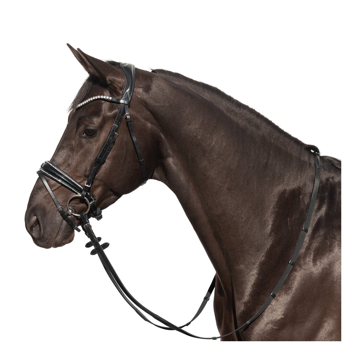 Cheval de Luxe Trensenzaum San Francisco – Ansicht 1