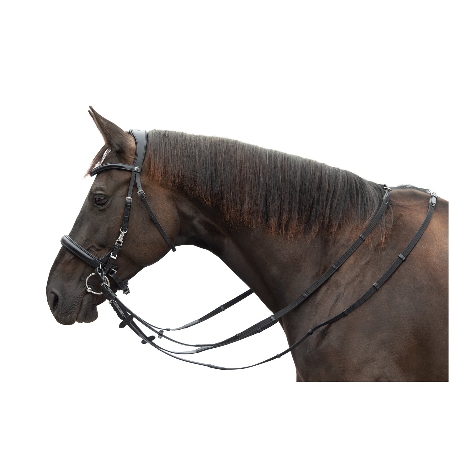 MONTIVUM Multifunktionstrense Glasgow – Ansicht 2