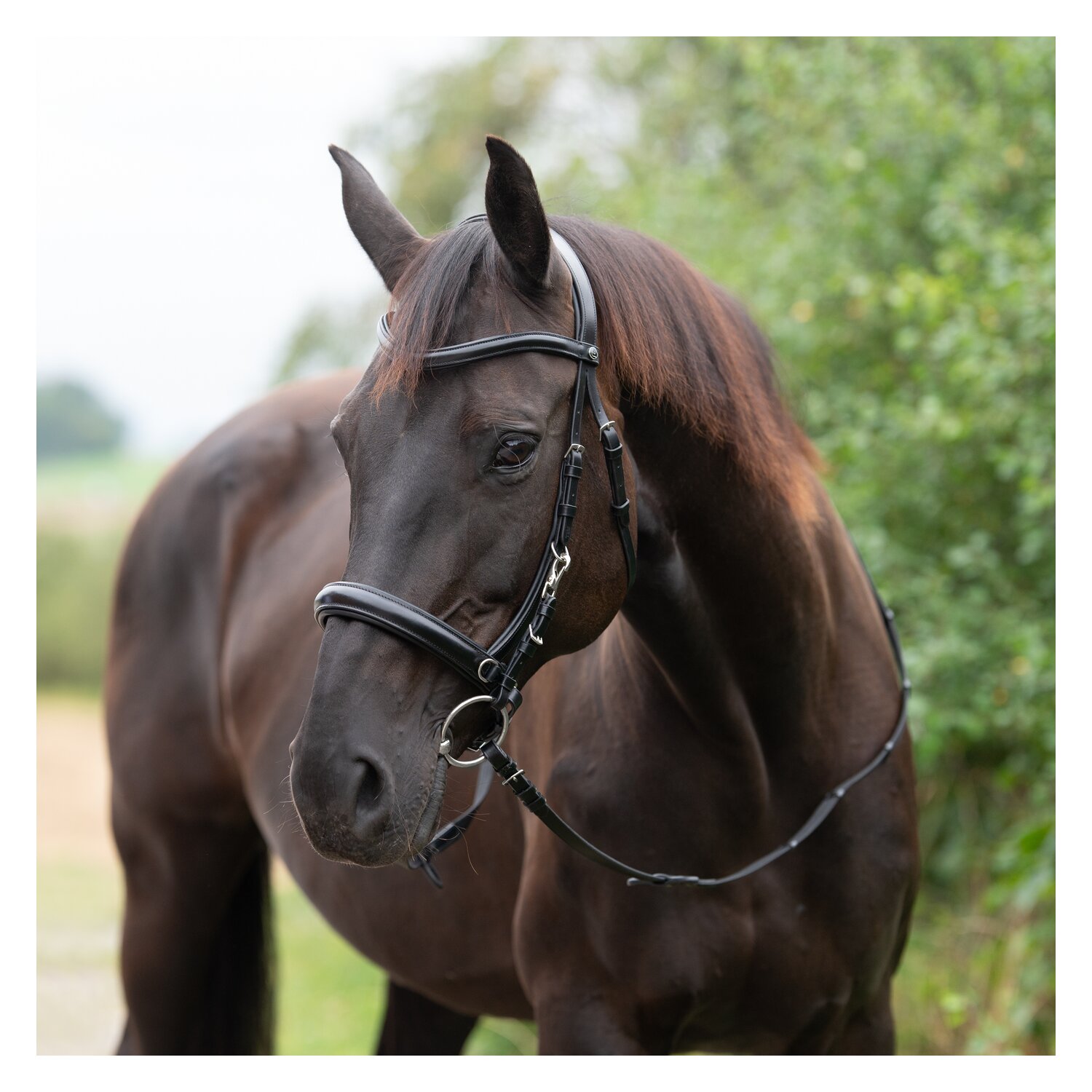 MONTIVUM Multifunktionstrense Glasgow – Ansicht 3