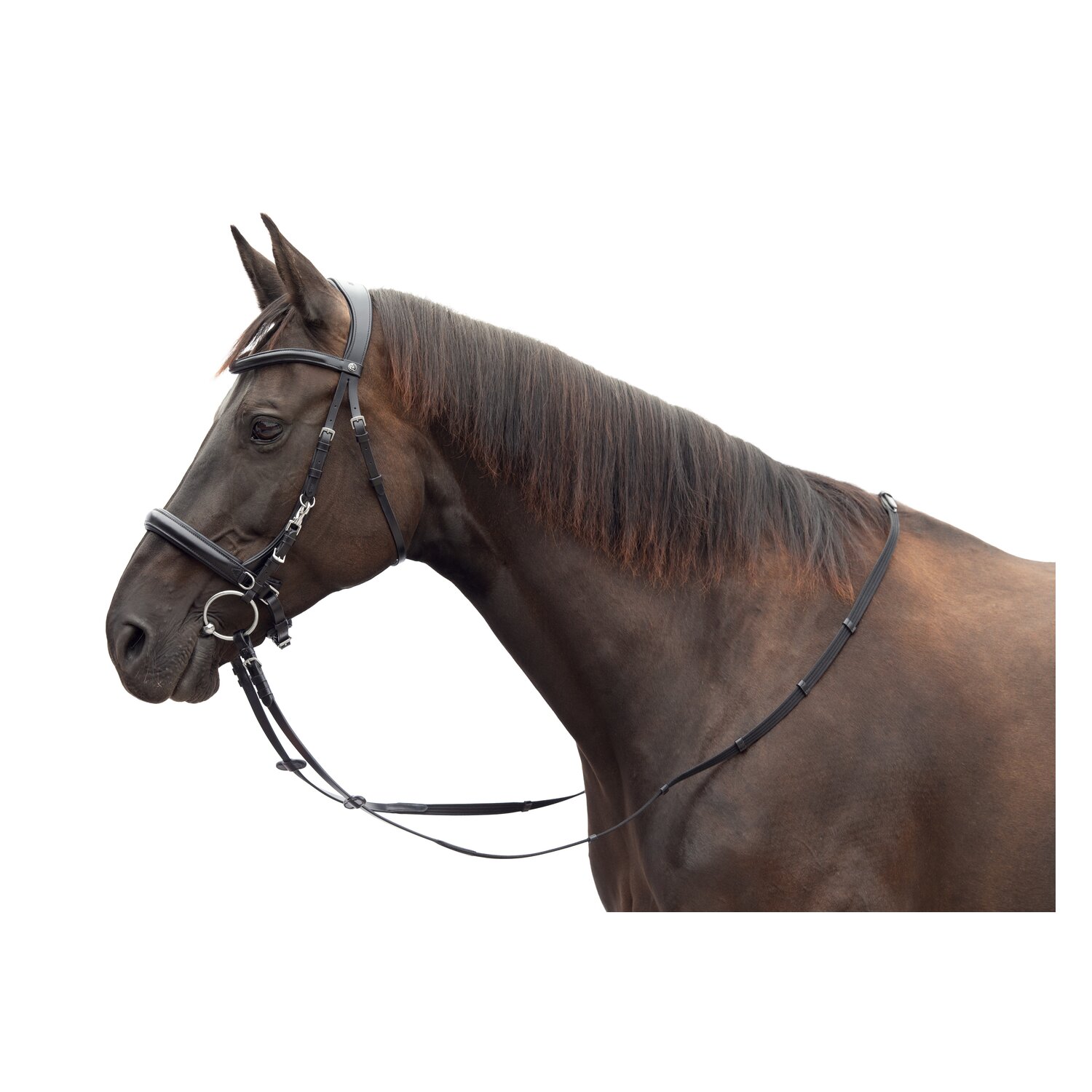 MONTIVUM Multifunktionstrense Glasgow – Ansicht 1