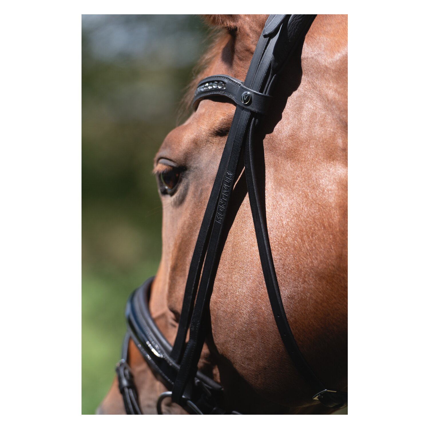 MONTIVUM Trensenzaum Bristol – Ansicht 3