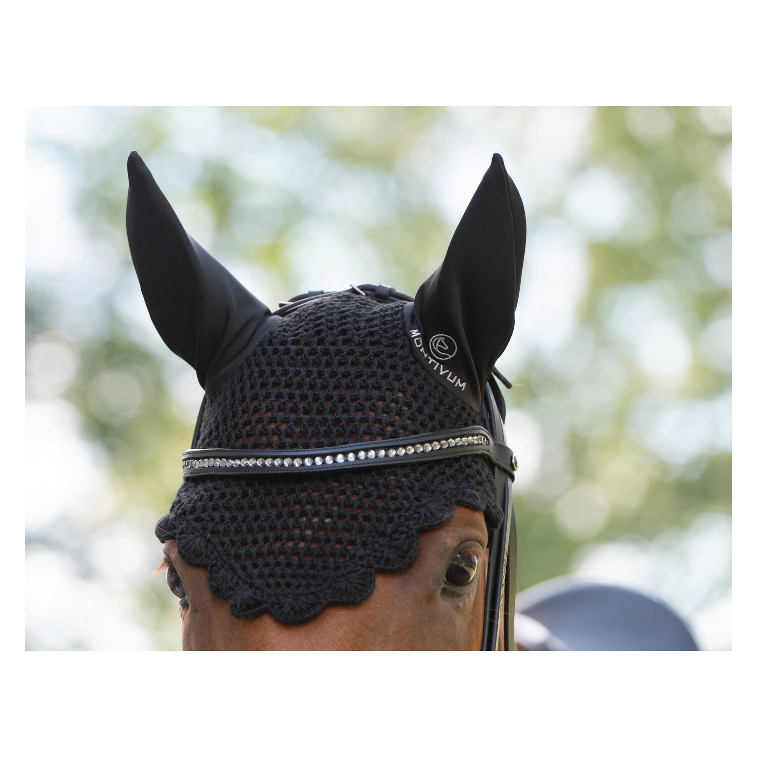 MONTIVUM Trensenzaum Bristol – Ansicht 6