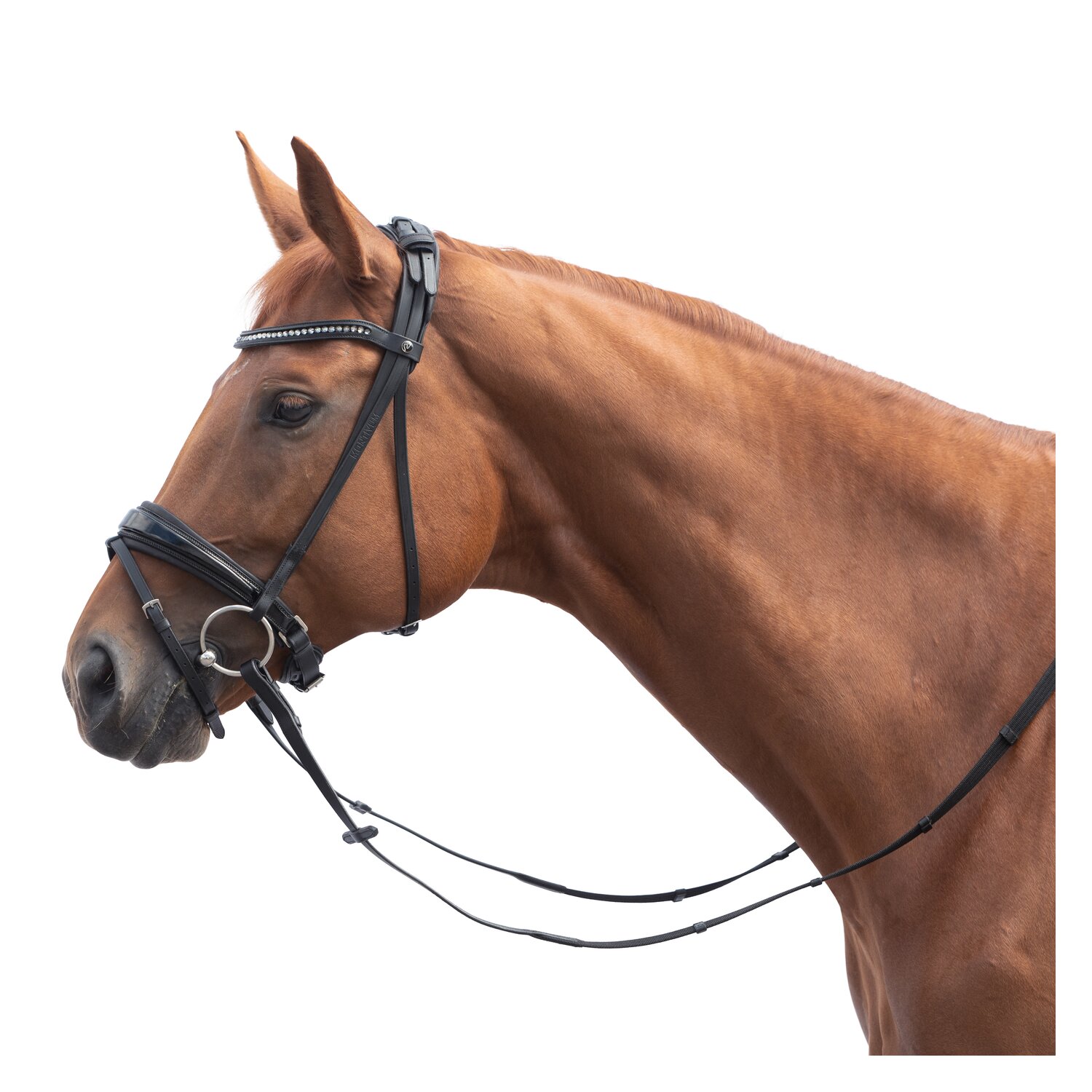 MONTIVUM Trensenzaum Bristol – Ansicht 1