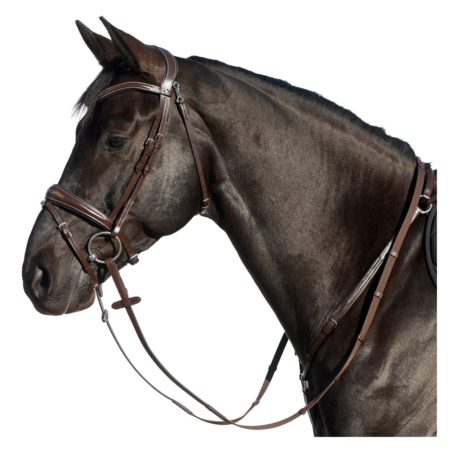 MONTIVUM Trensenzaum Derby – Ansicht 2