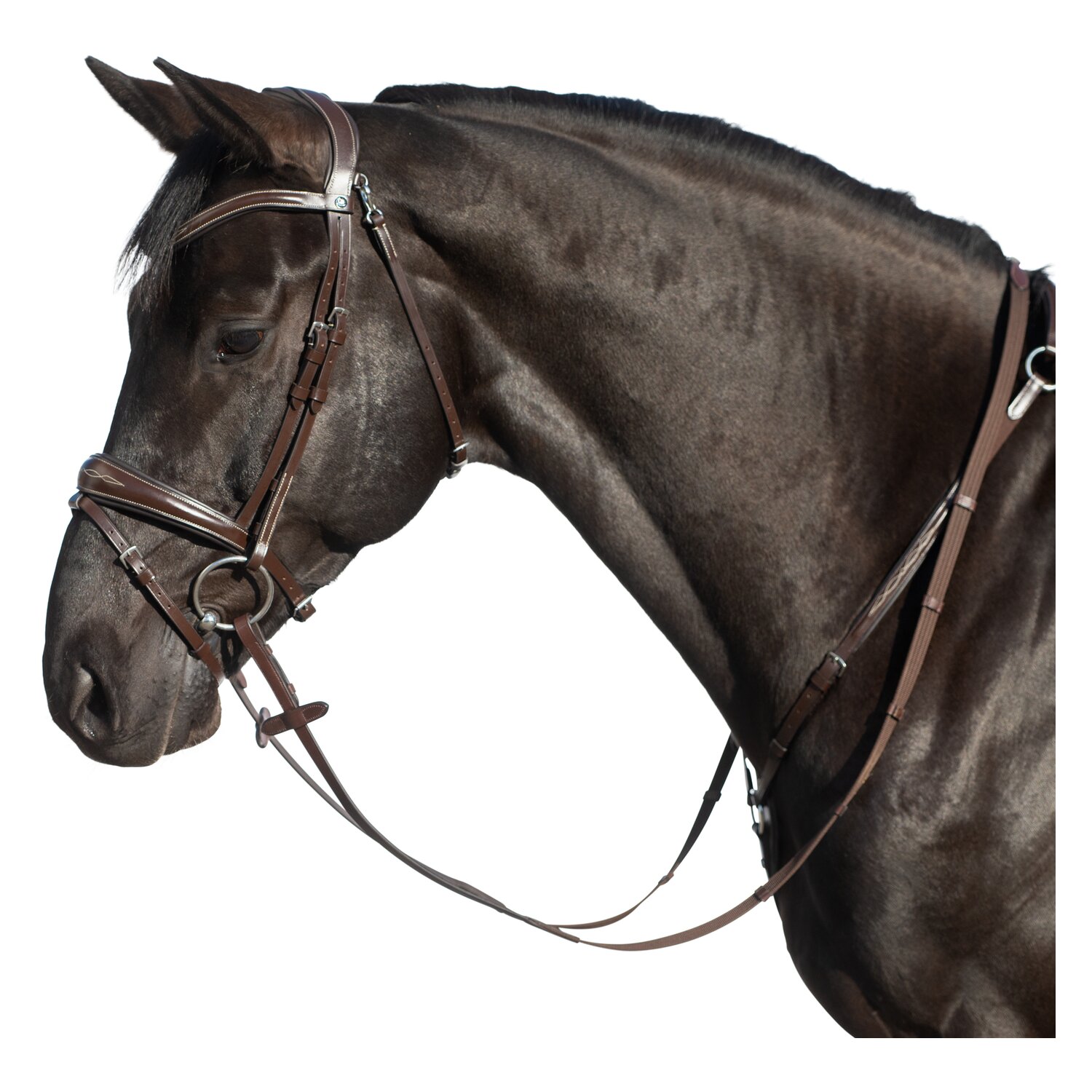 MONTIVUM Trensenzaum Derby – Ansicht 1