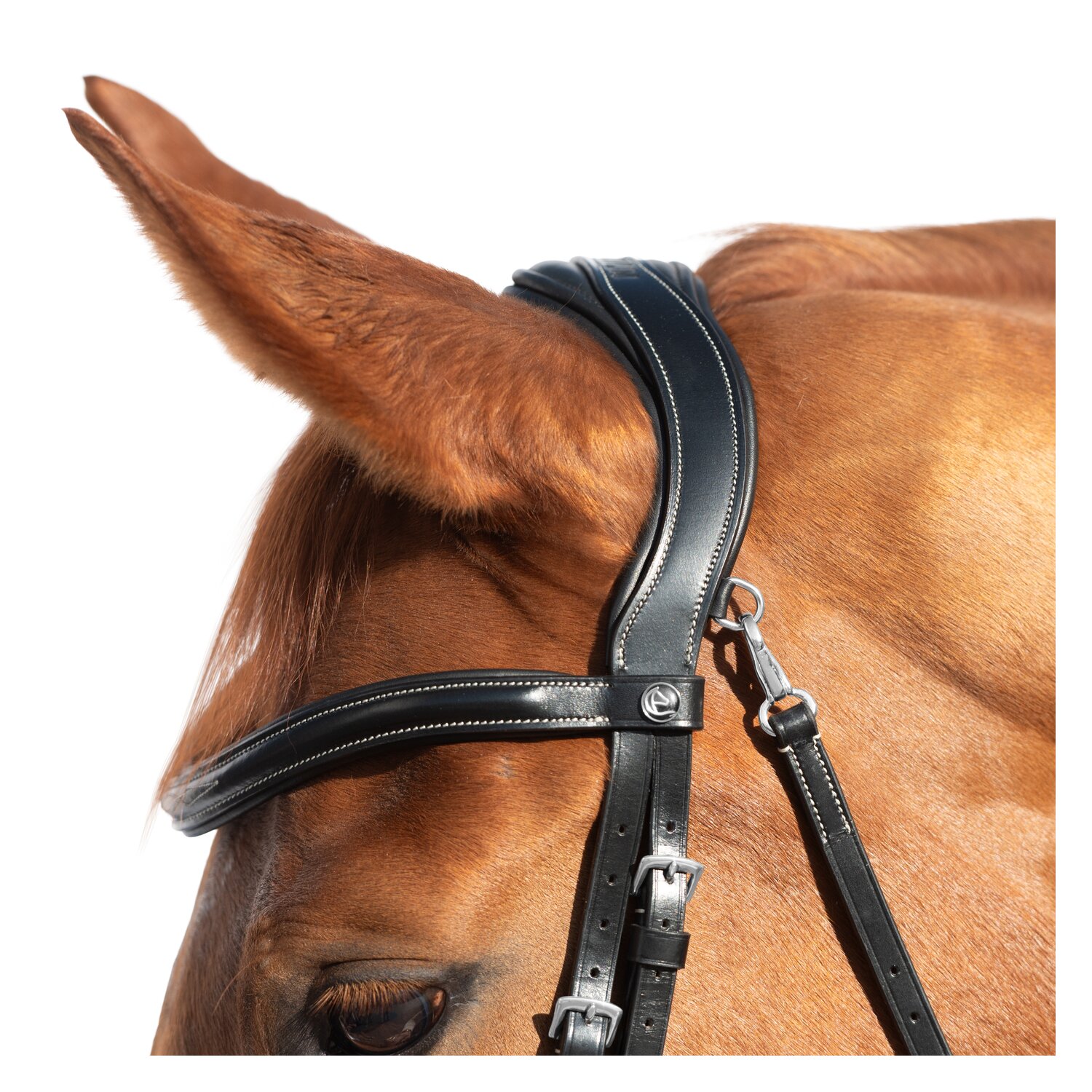 MONTIVUM Trensenzaum Derby – Ansicht 3