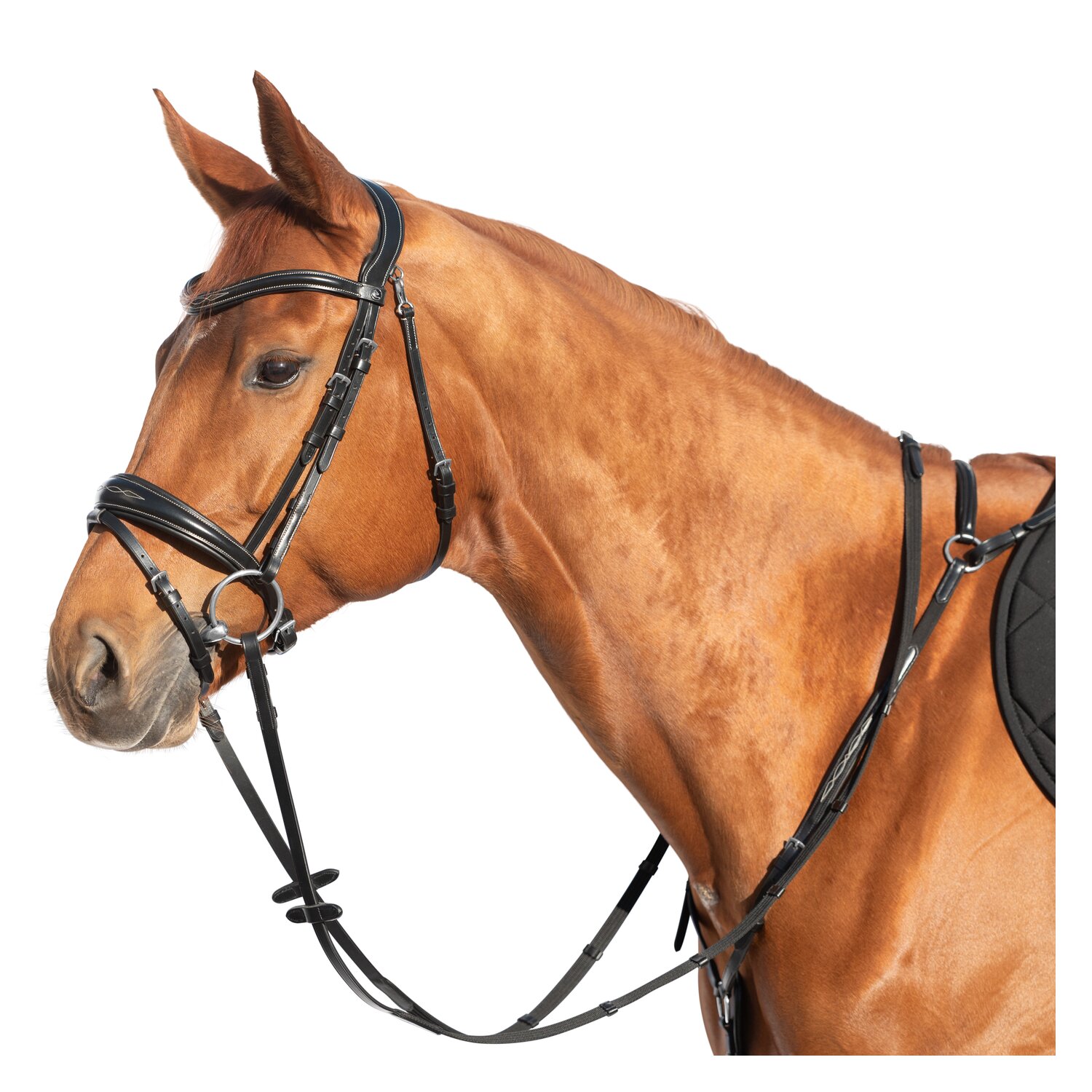 MONTIVUM Trensenzaum Derby – Ansicht 1