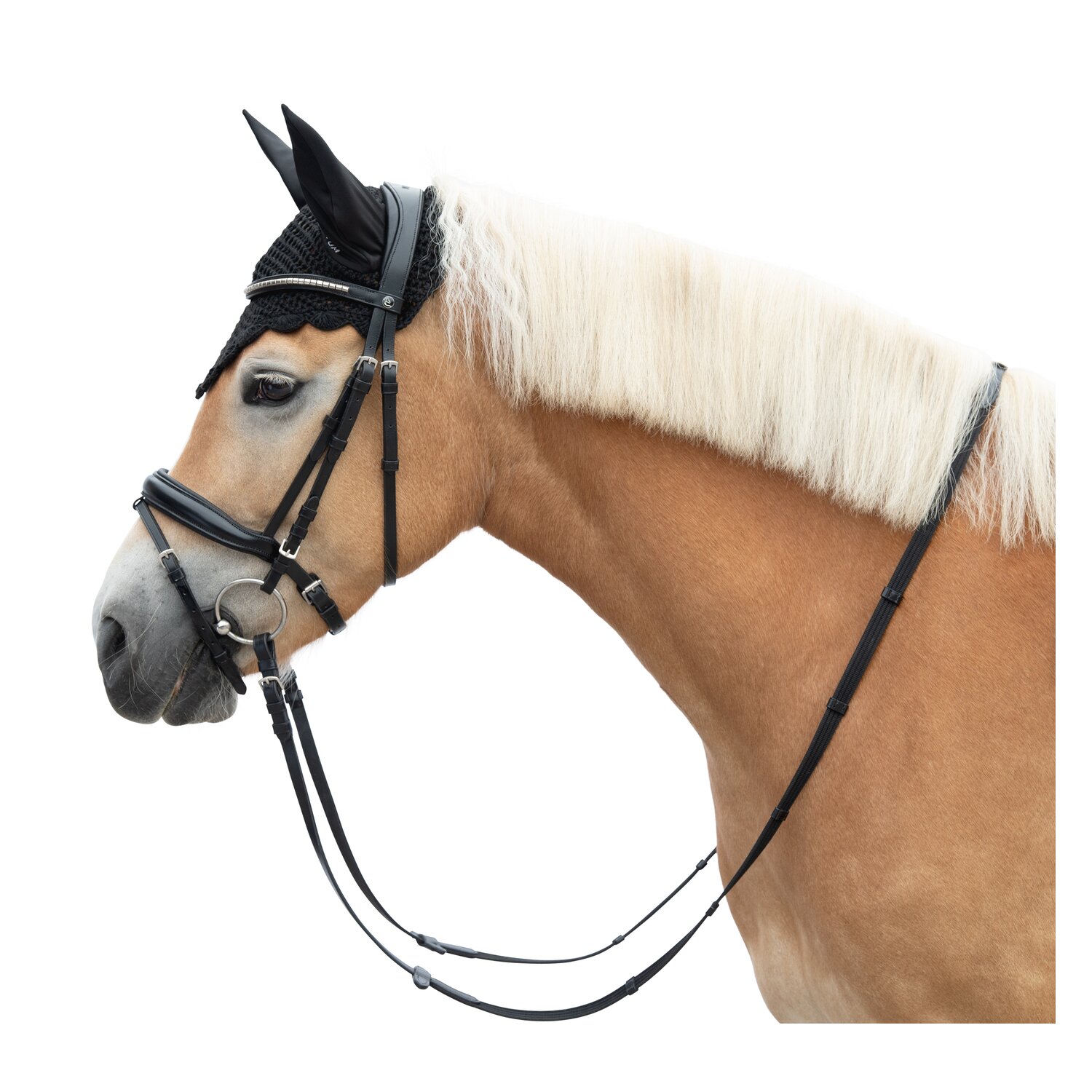 MONTIVUM Trensenzaum Oslo – Ansicht 1