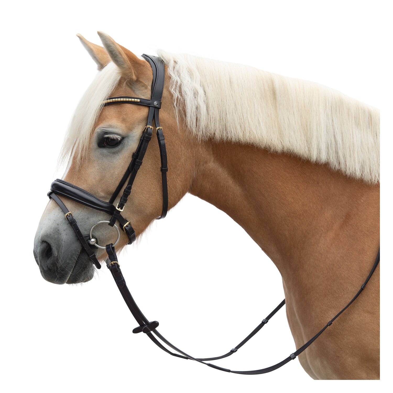 MONTIVUM Trensenzaum Oslo – Ansicht 1