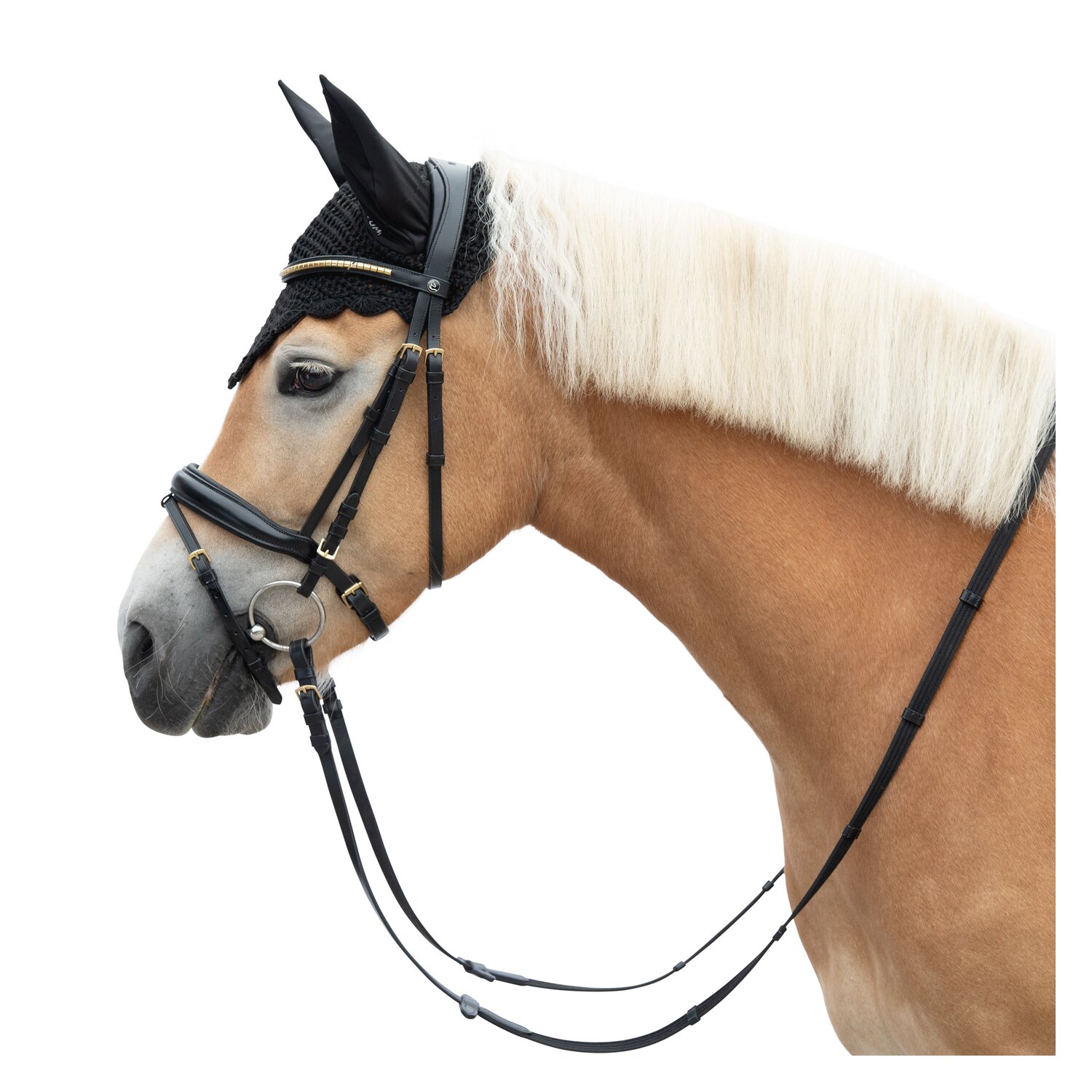 MONTIVUM Trensenzaum Oslo – Ansicht 3