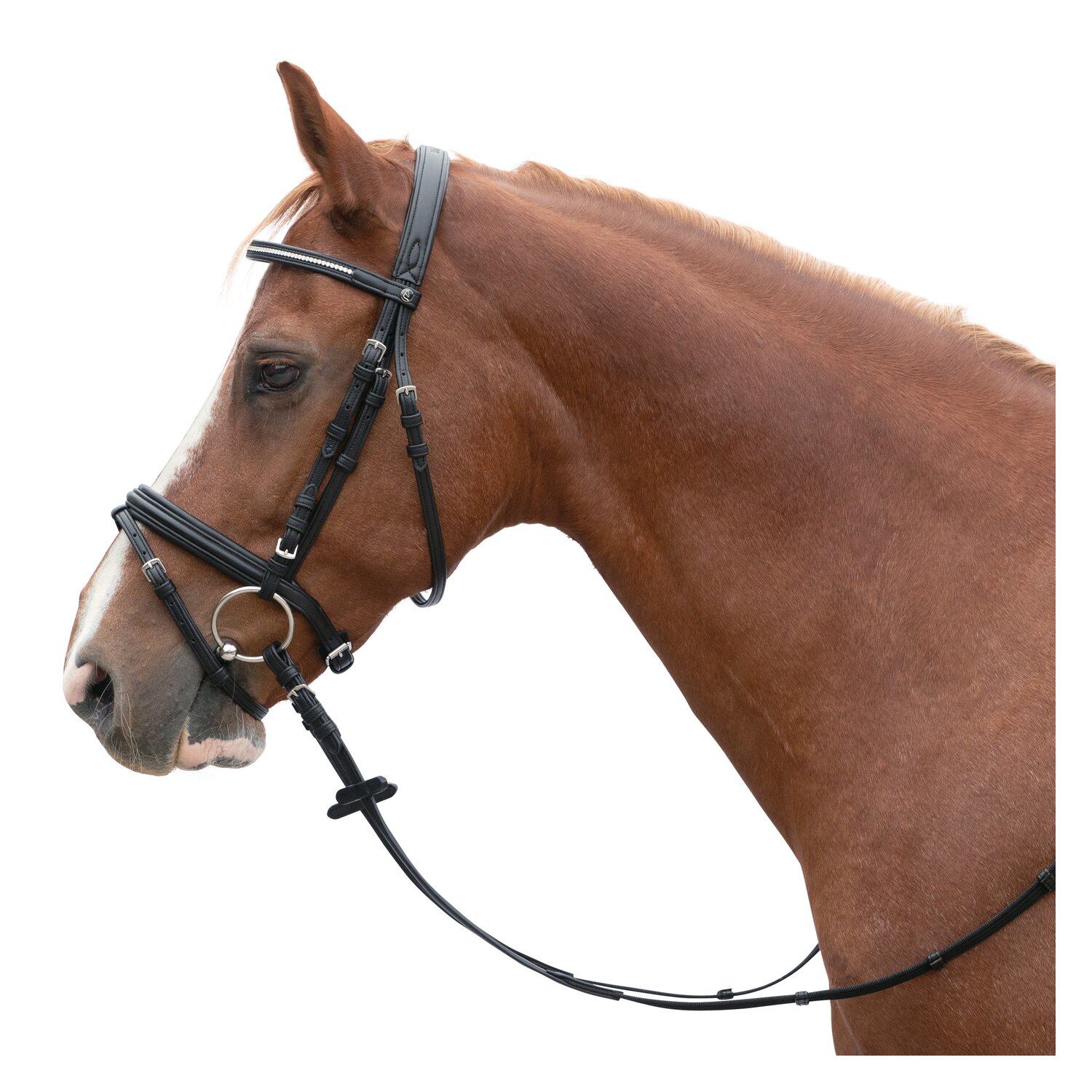 MONTIVUM Trensenzaum Turin – Ansicht 1