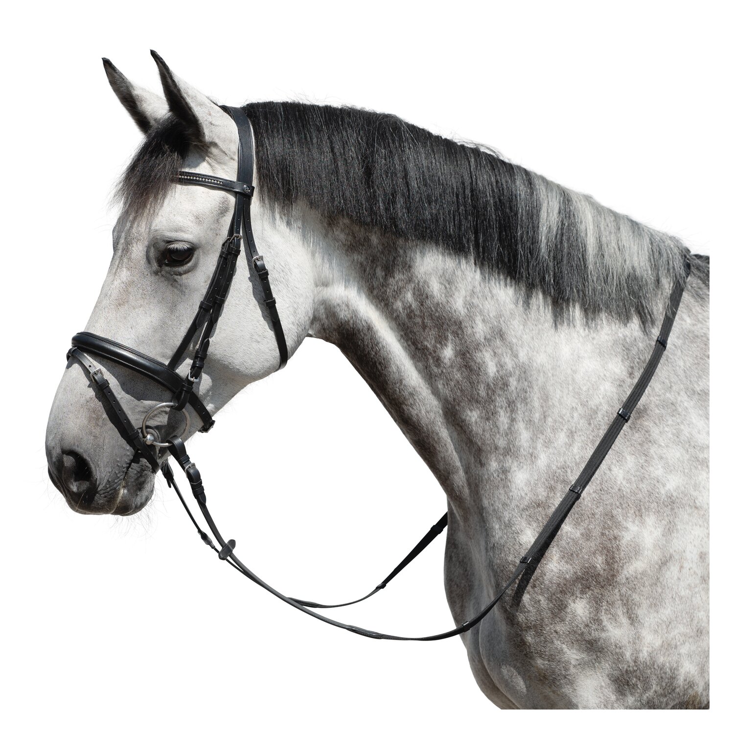 MONTIVUM Trensenzaum Odense – Ansicht 1