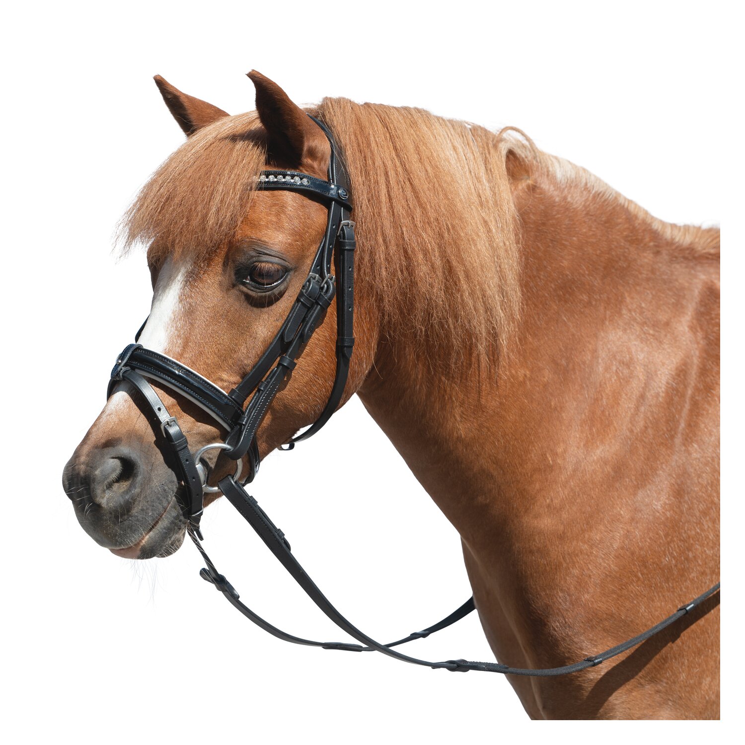 MONTIVUM Trensenzaum Derry – Ansicht 2