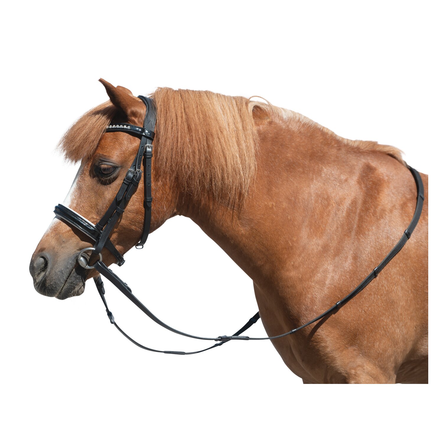 MONTIVUM Trensenzaum Derry – Ansicht 3