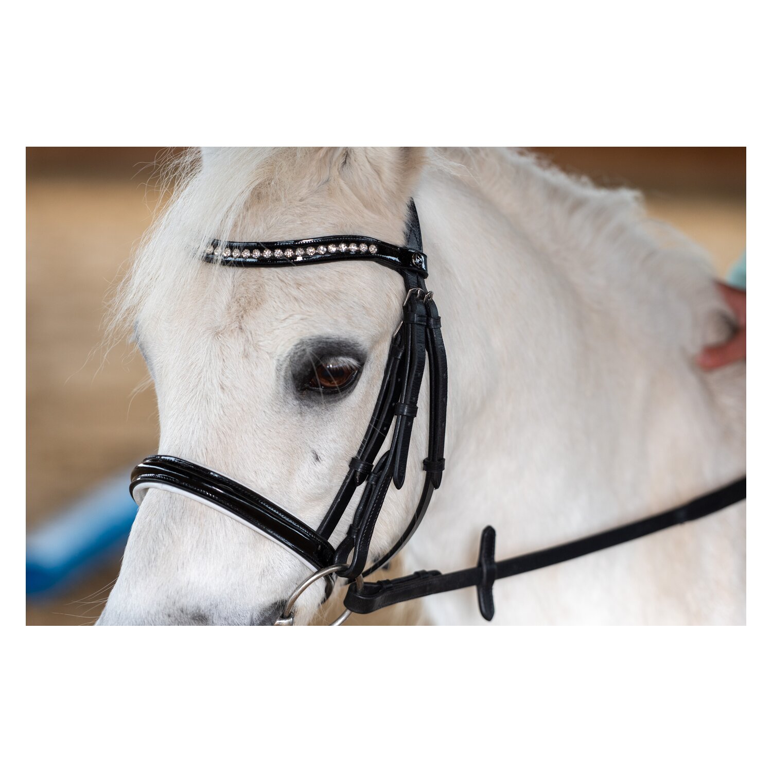 MONTIVUM Trensenzaum Derry – Ansicht 4