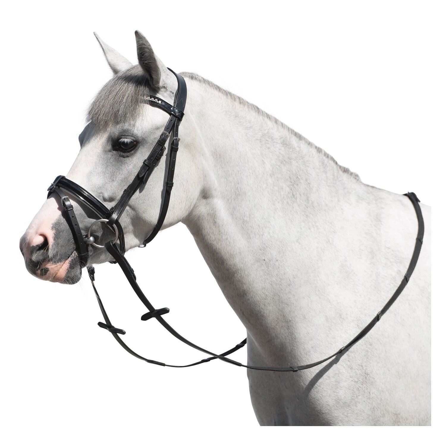 MONTIVUM Trensenzaum Derry – Ansicht 1