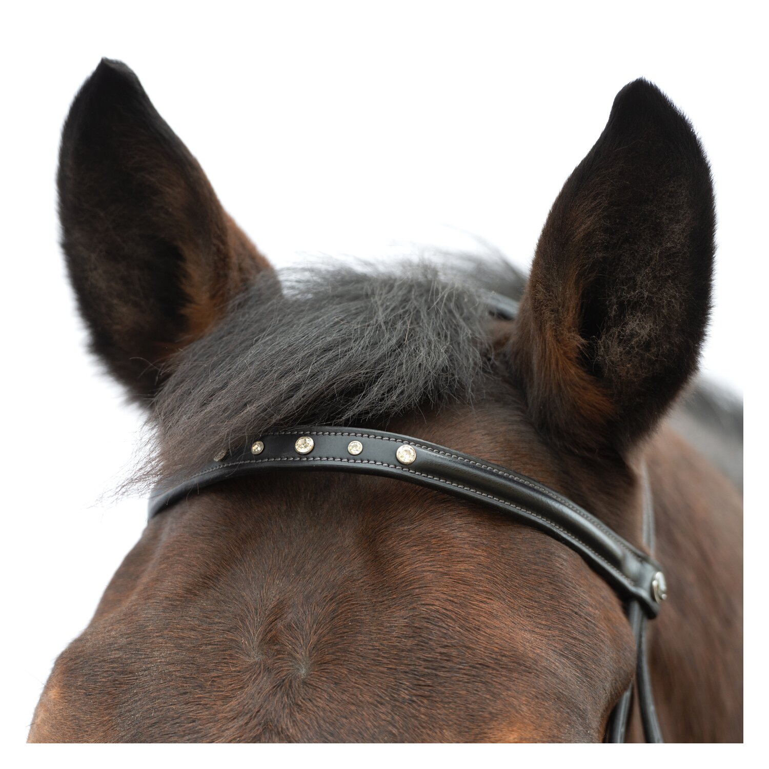 MONTIVUM Spanischer Trensenzaum Saragossa – Ansicht 2