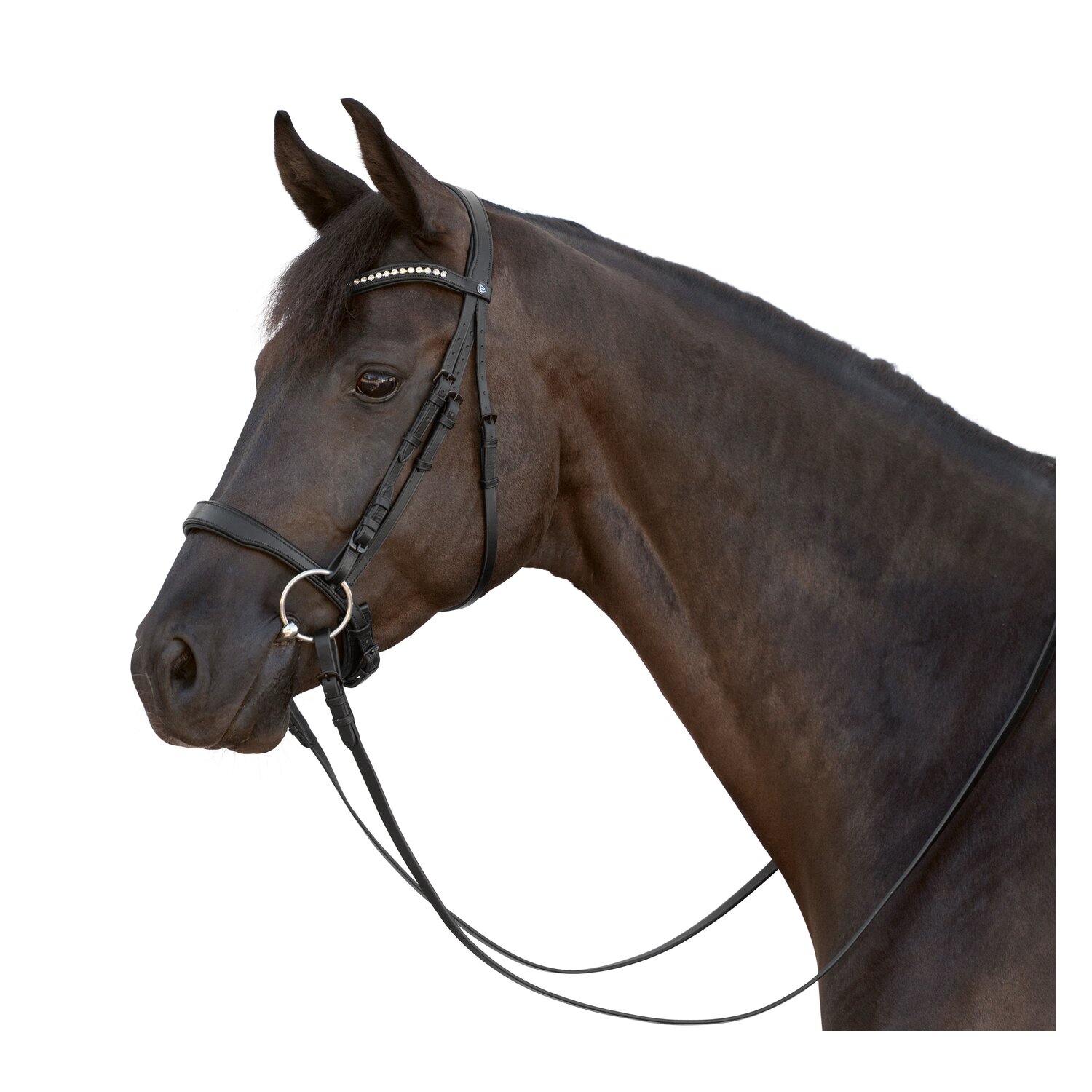 MONTIVUM Trensenzaum Ensenada – Ansicht 1