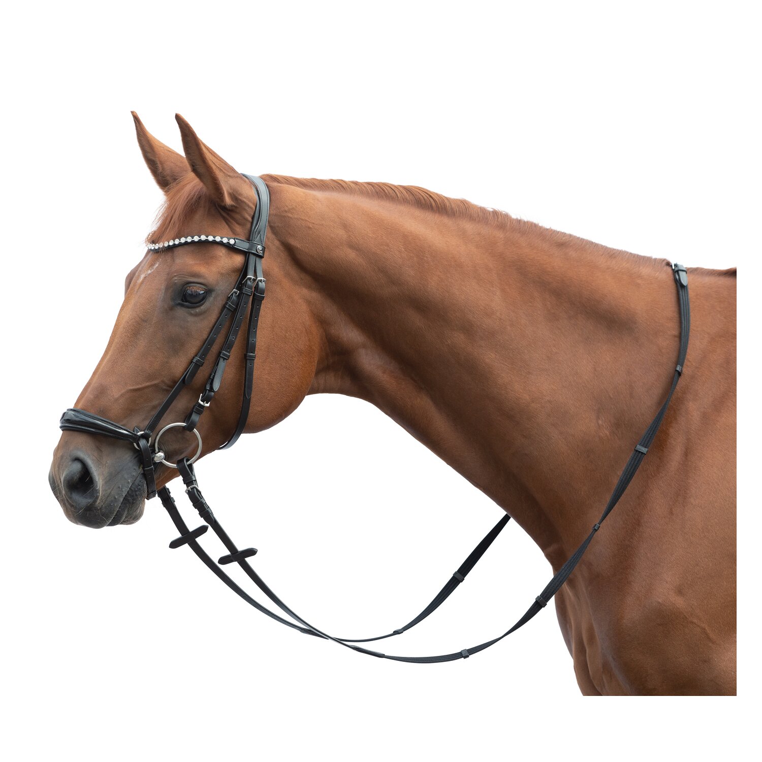 MONTIVUM Hannoverscher Trensenzaum Minneapolis – Ansicht 1