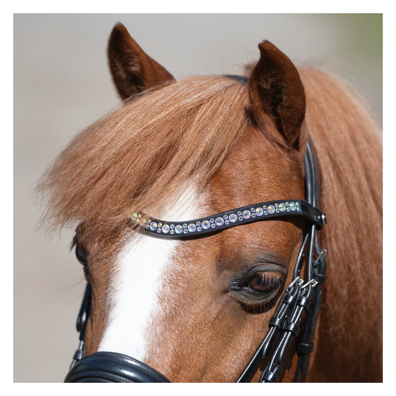 MONTIVUM Pony- und Shetty-Trensenzaum Managua – Ansicht 3