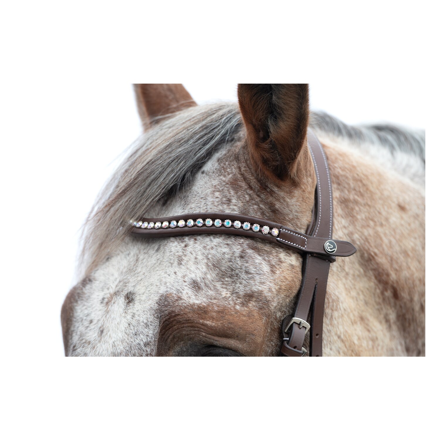 MONTIVUM Trensenzaum Breslau – Ansicht 6