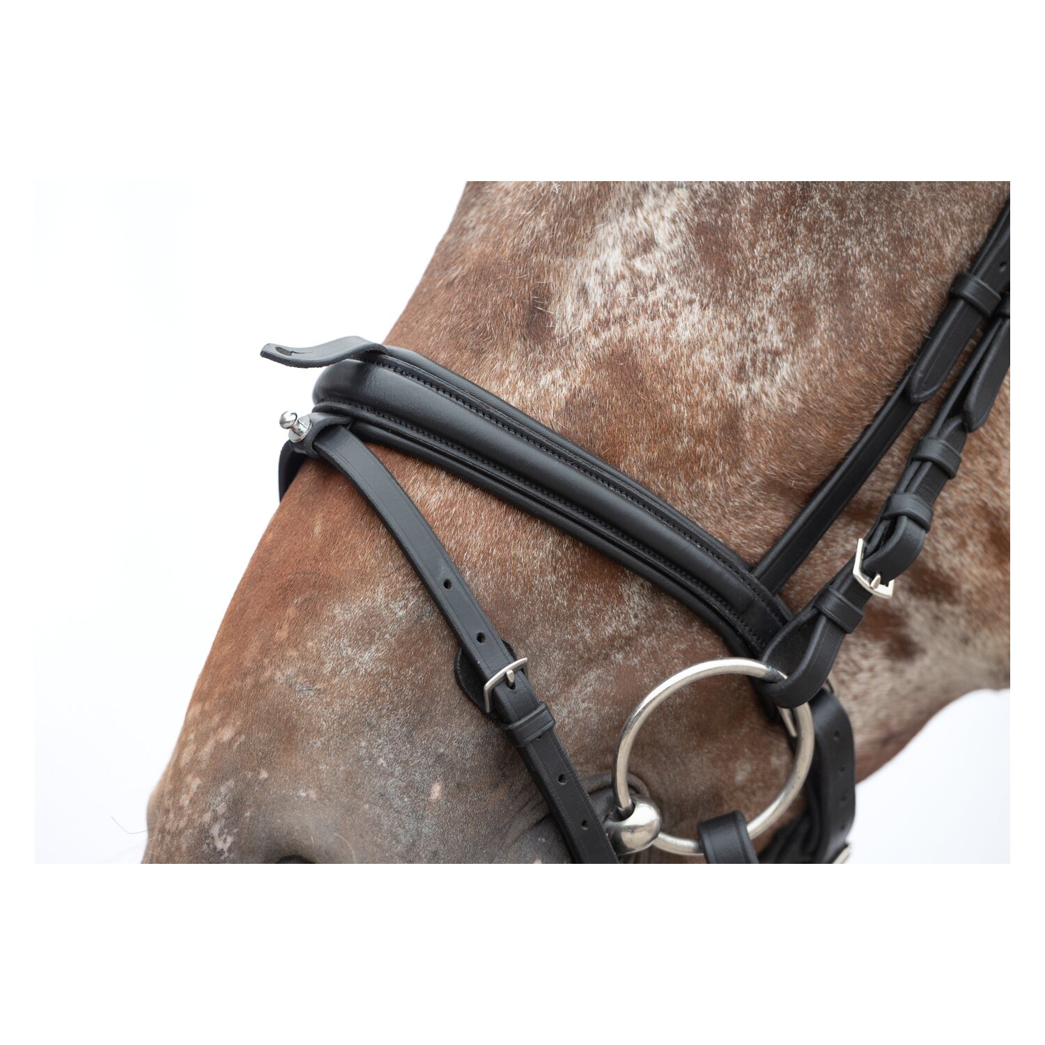 MONTIVUM Trensenzaum Breslau – Ansicht 5