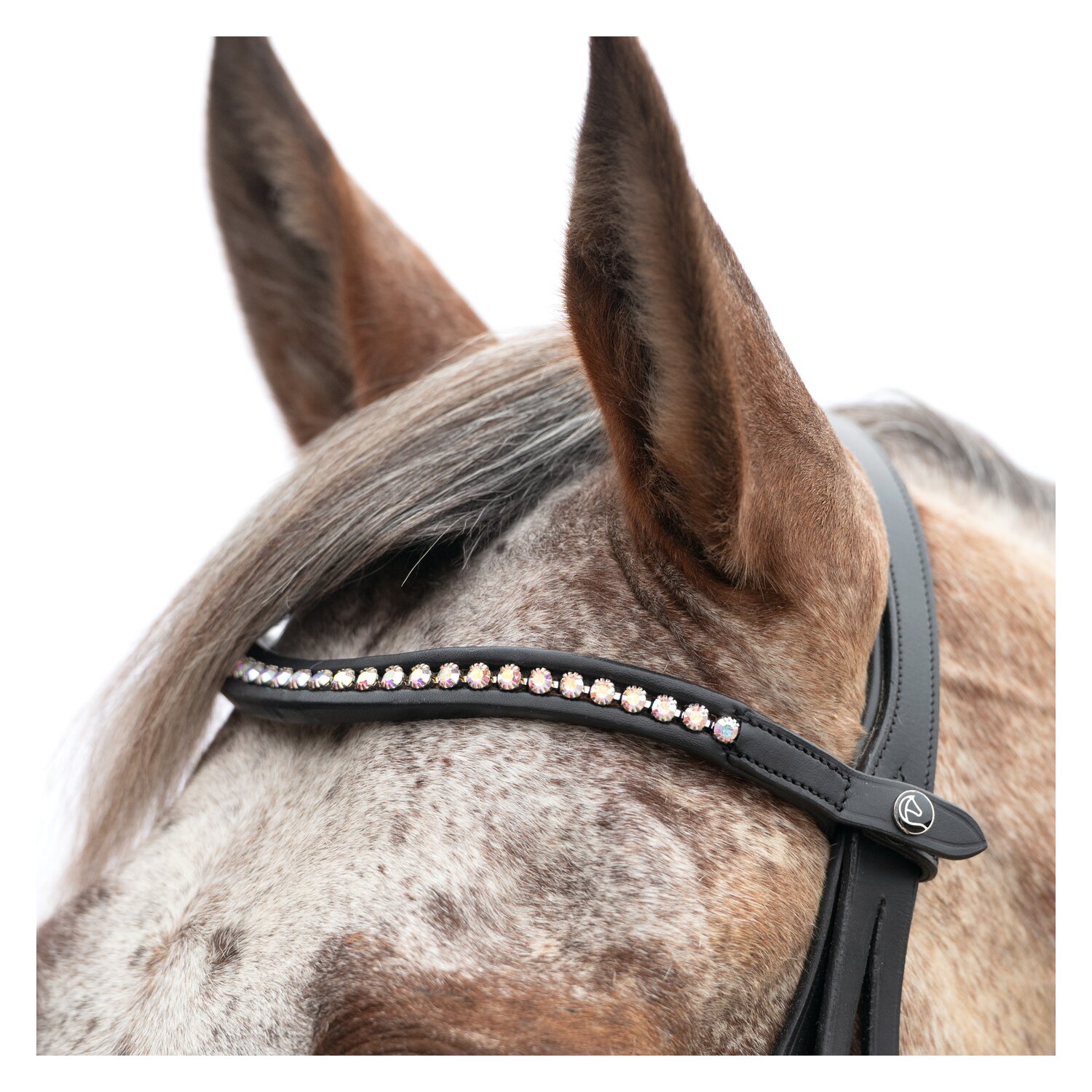 MONTIVUM Trensenzaum Breslau – Ansicht 2