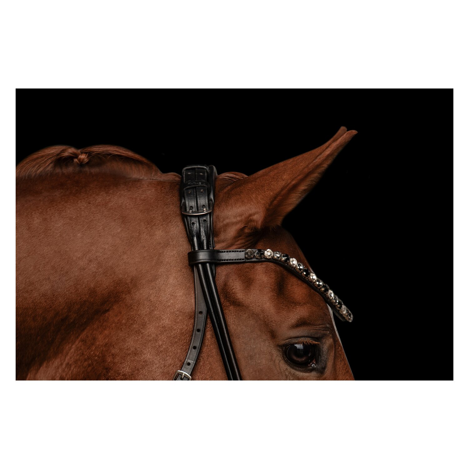 kieffer Trensenzaum Elli – Ansicht 2