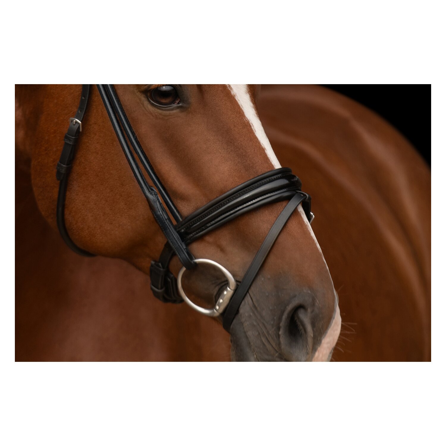 kieffer Trensenzaum Elli – Ansicht 3