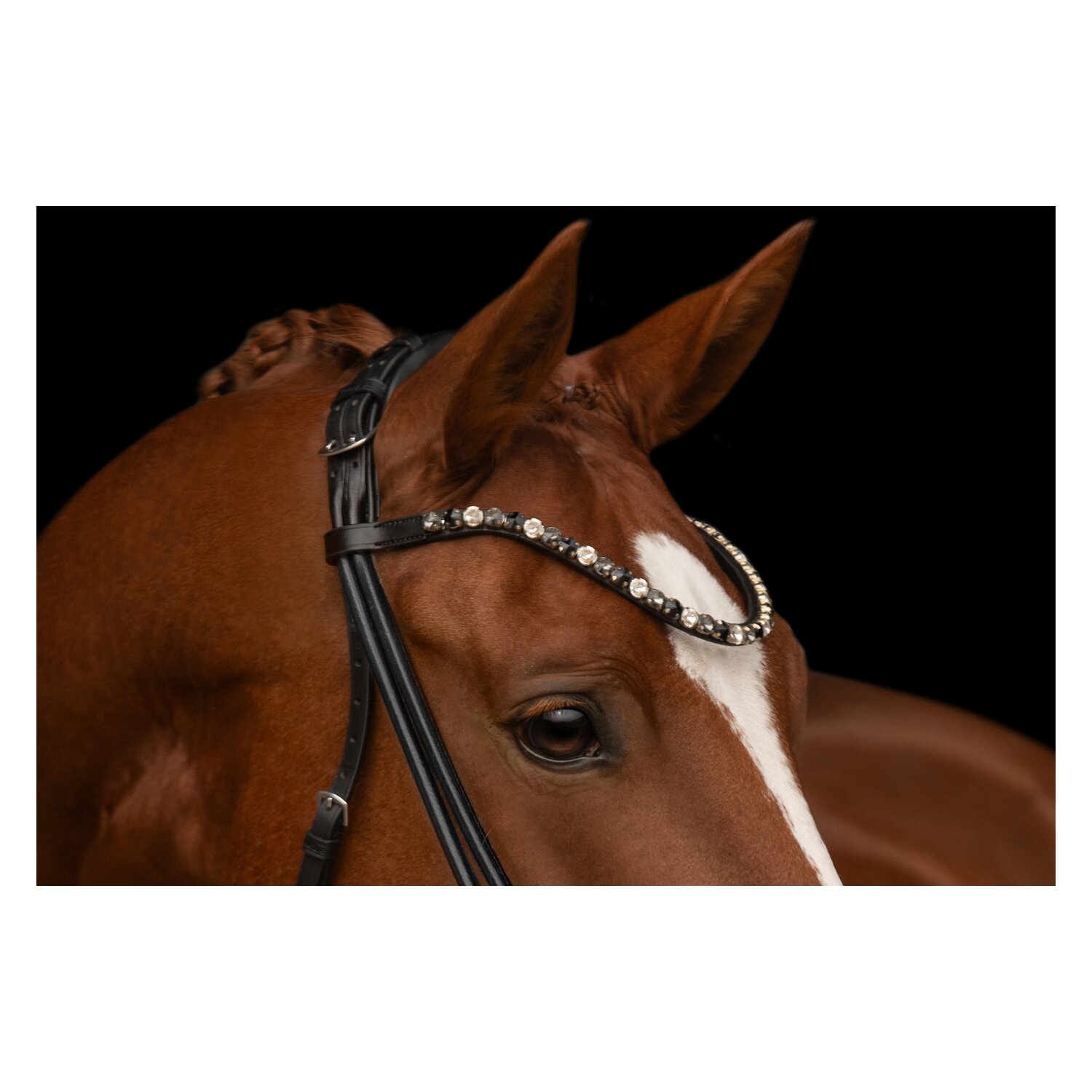 kieffer Trensenzaum Elli – Ansicht 4